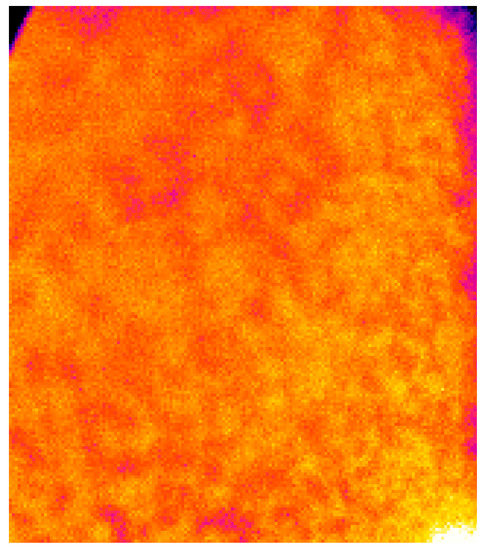 J Imaging Special Issue The World In Infrared Imaging