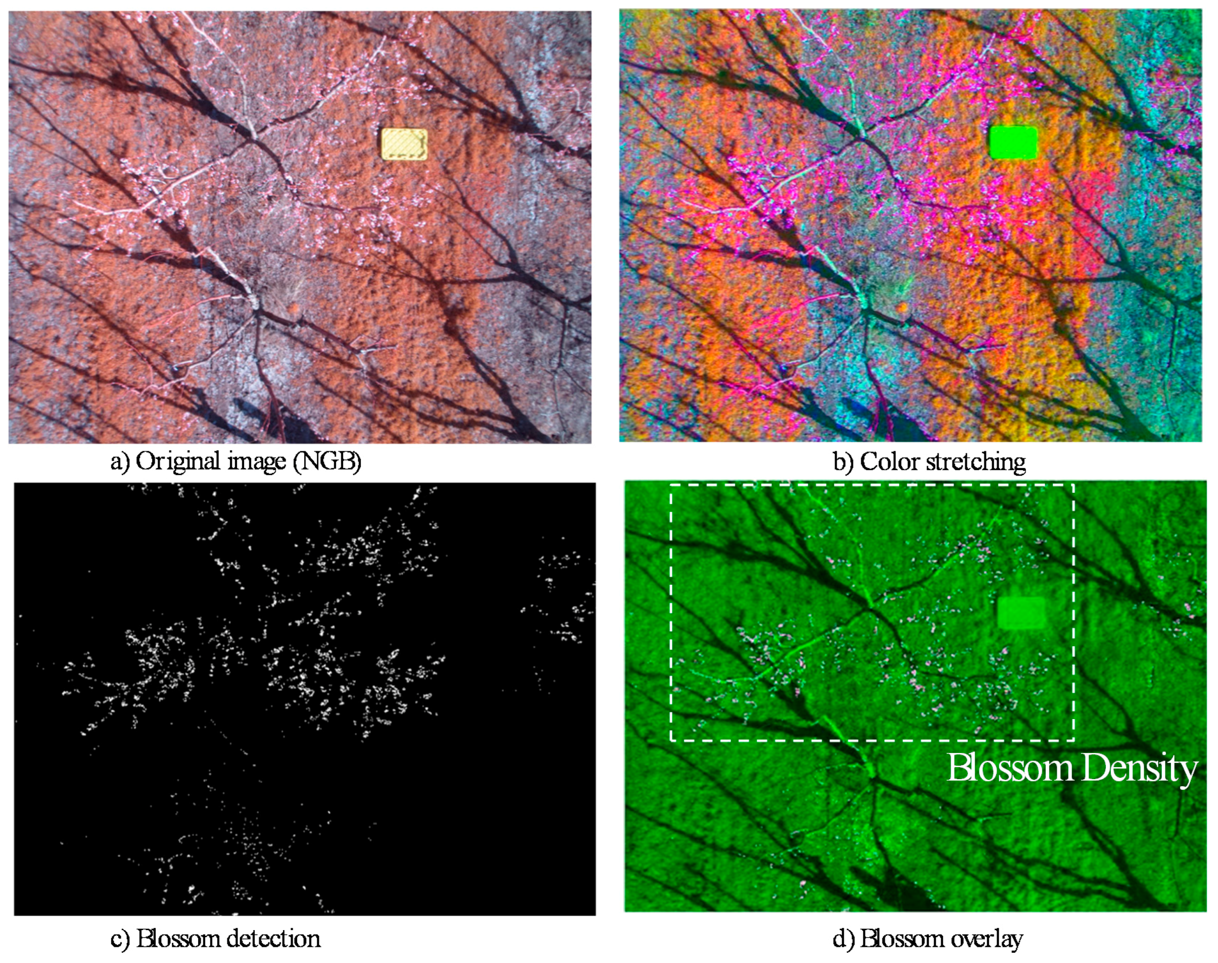 j imaging free full text peach flower monitoring using aerial multispectral image