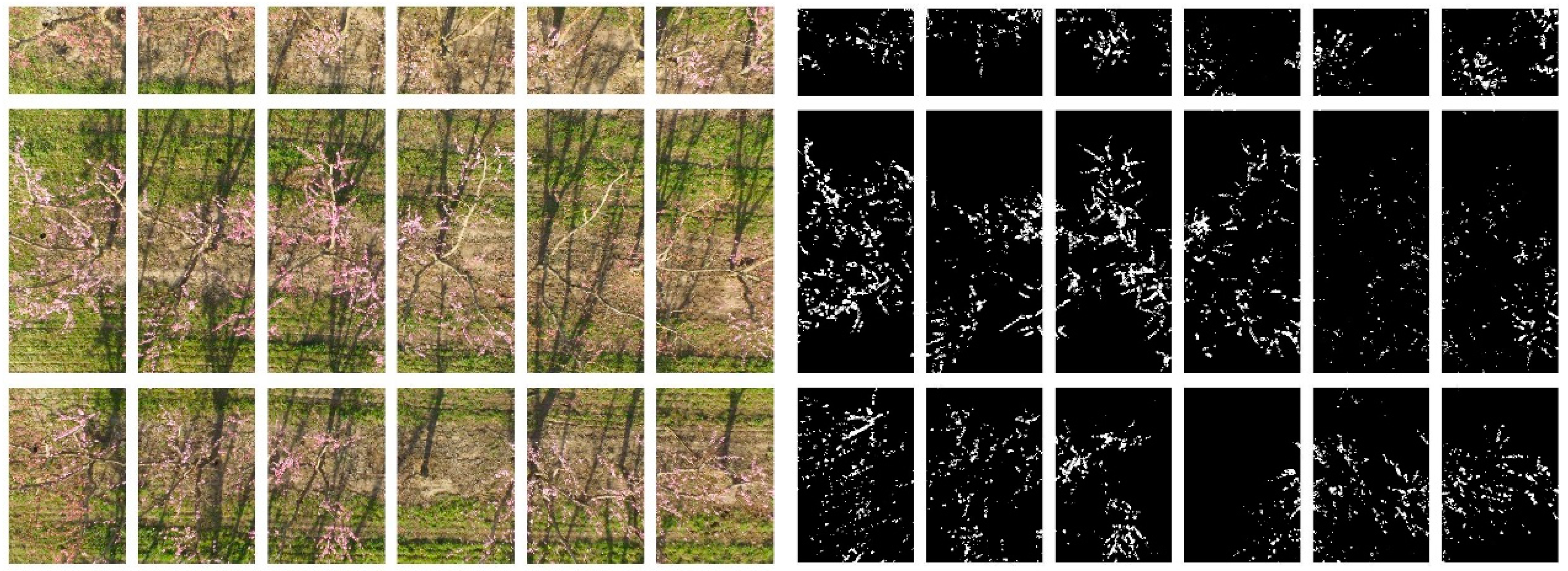 Jimaging 03 00002 g011