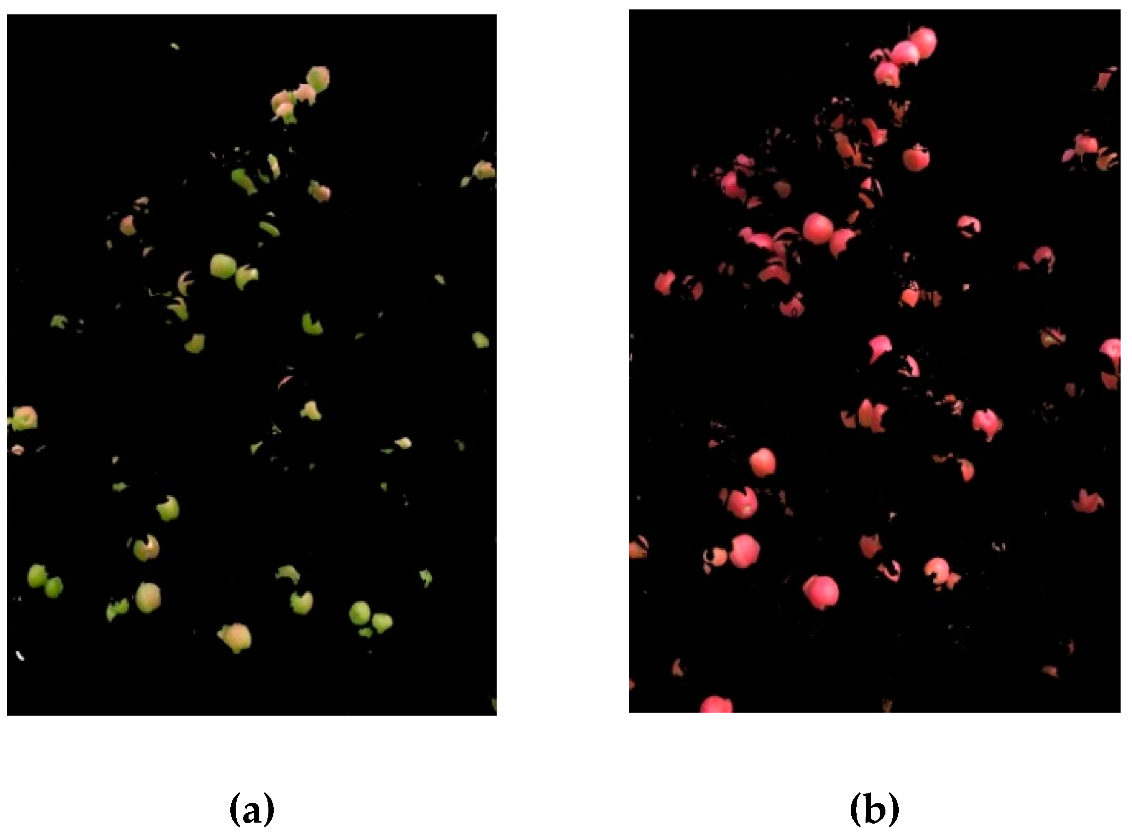 Jimaging 03 00006 g003 550