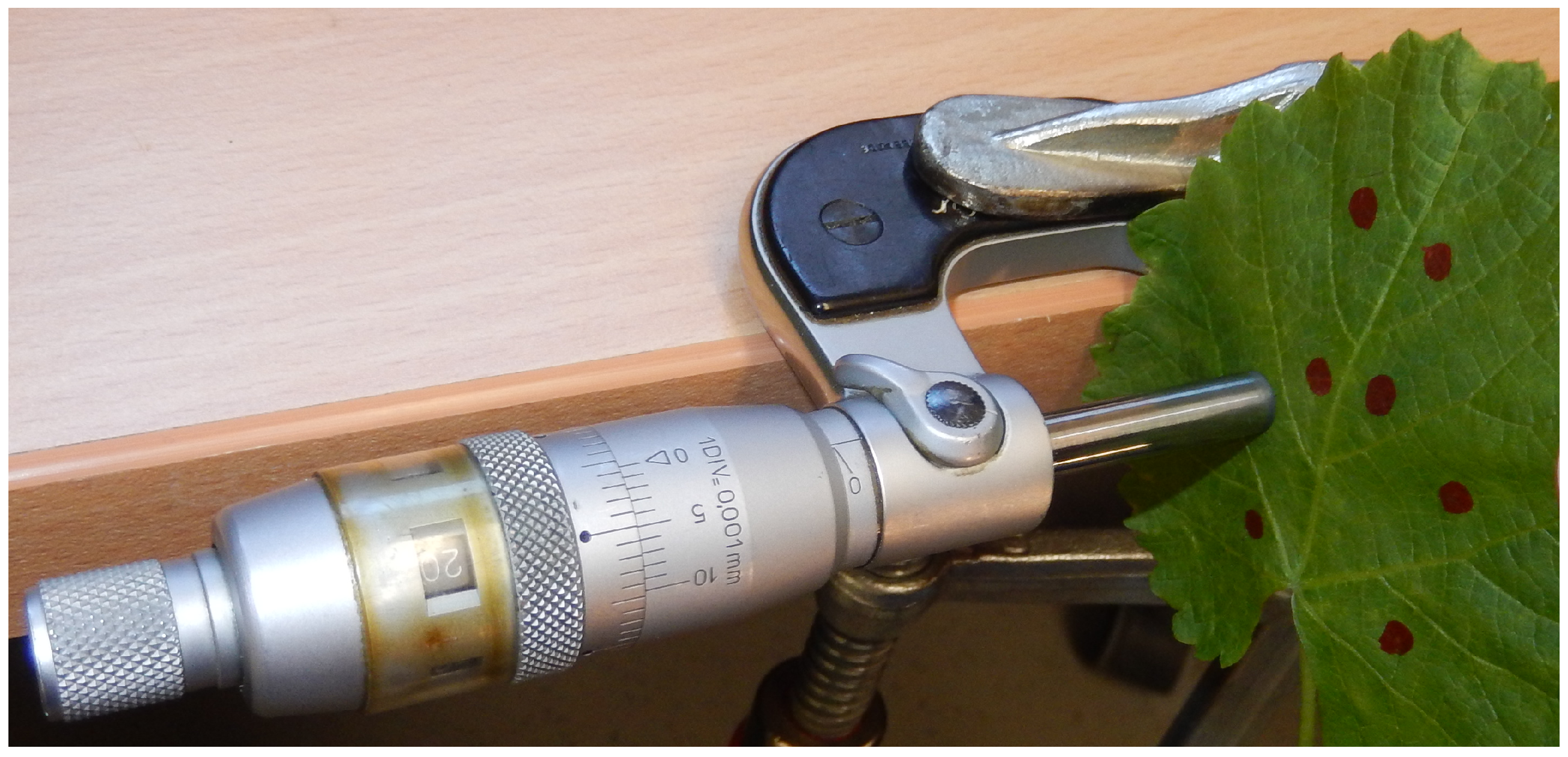 Jimaging 03 00022 g005 550