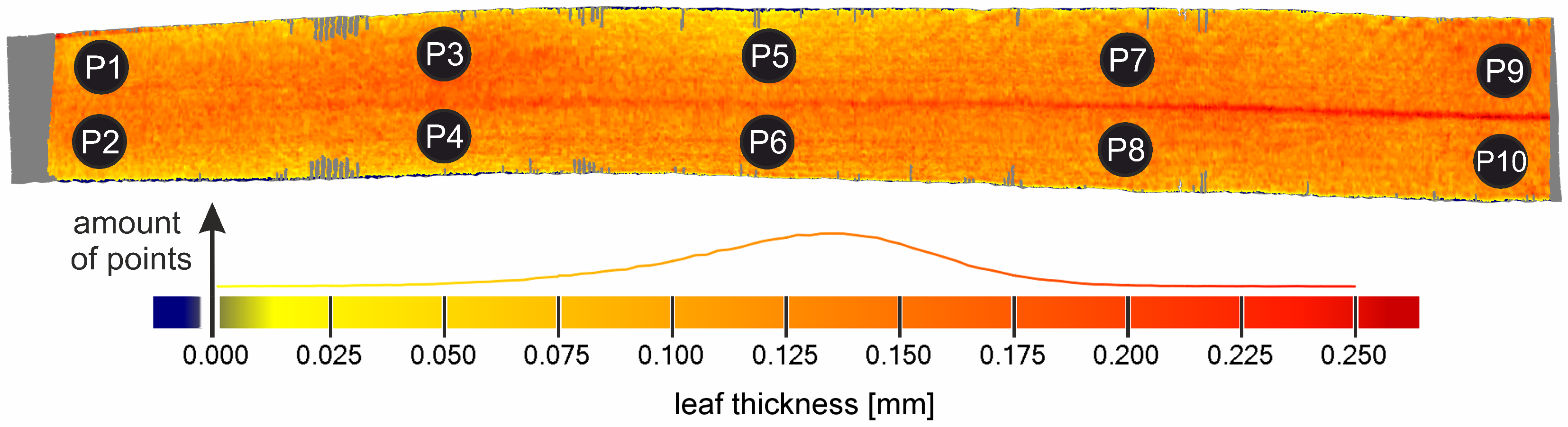 Jimaging 03 00022 g006 550