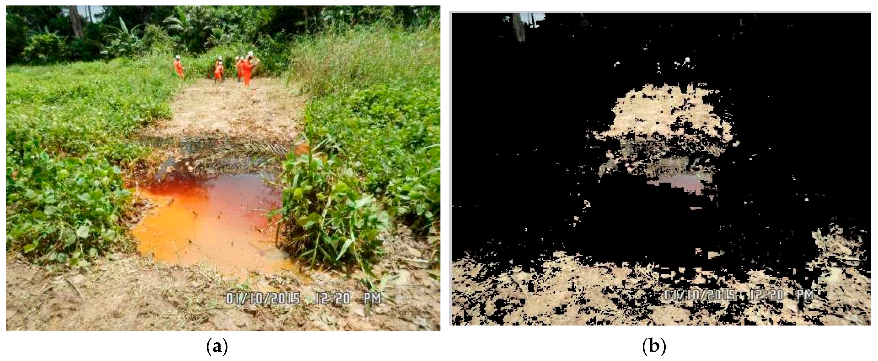 Jimaging 03 00047 g005a