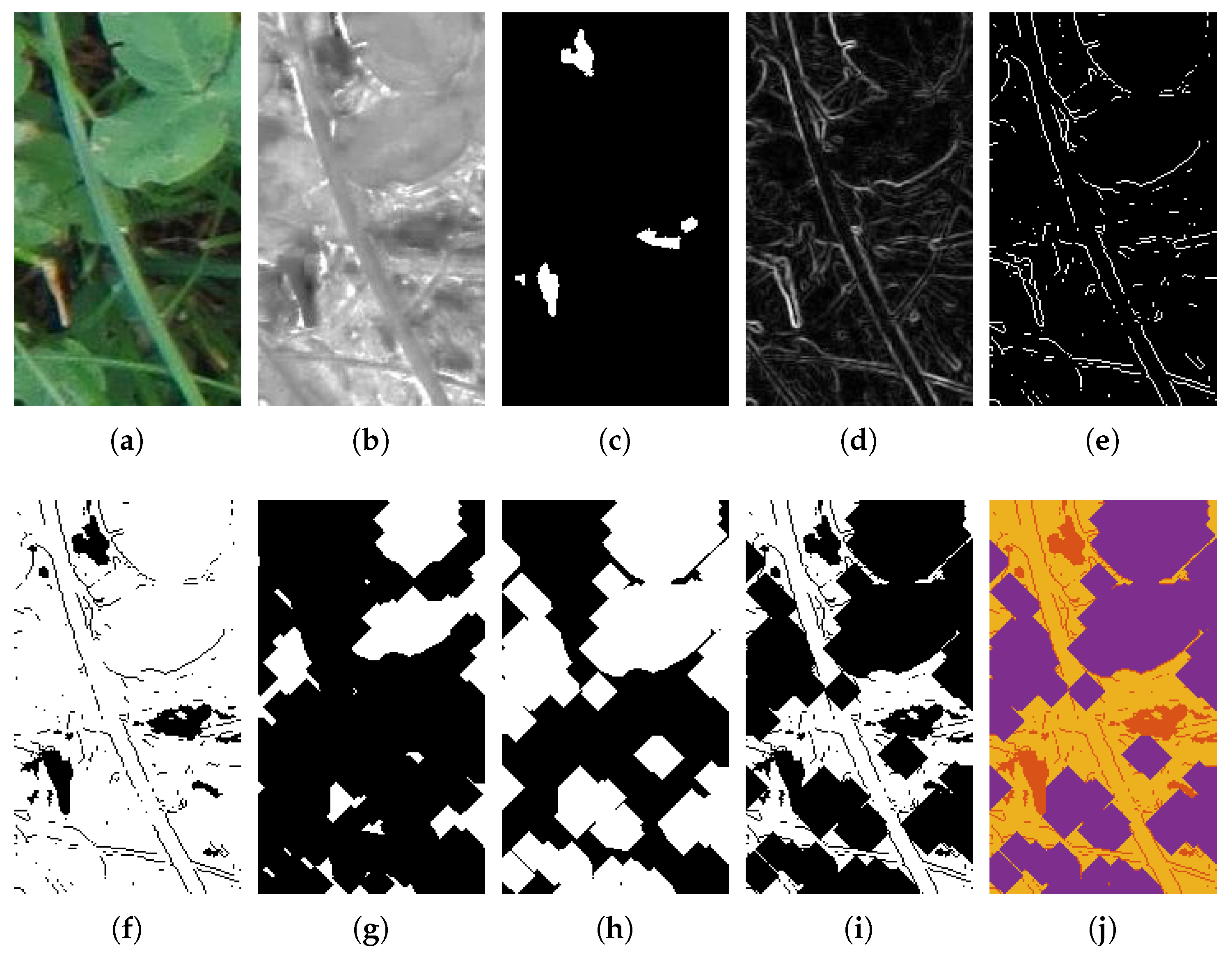 Jimaging 03 00059 g004 Jimaging 03 00059 g004