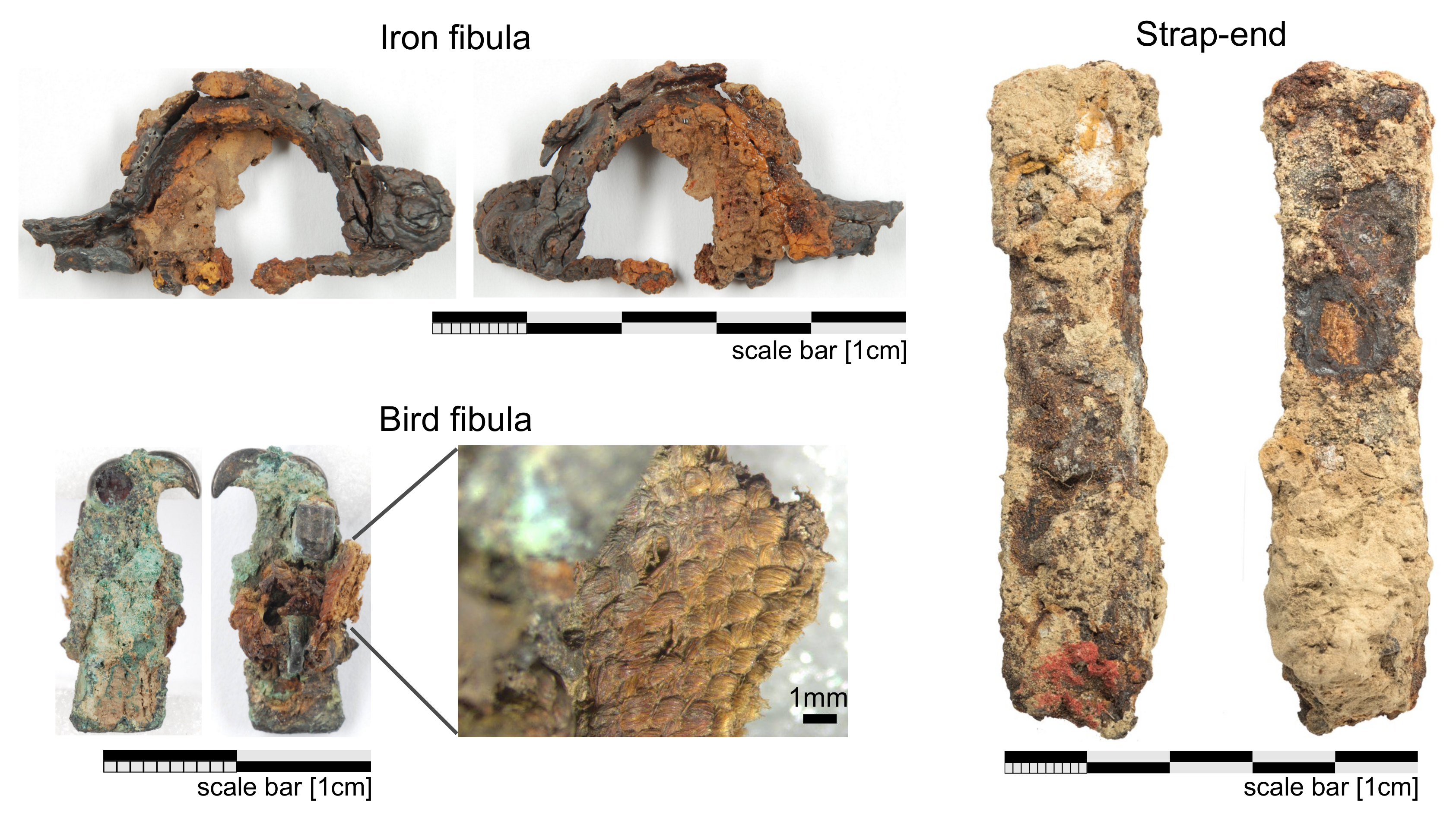 Jimaging 04 00058 g004