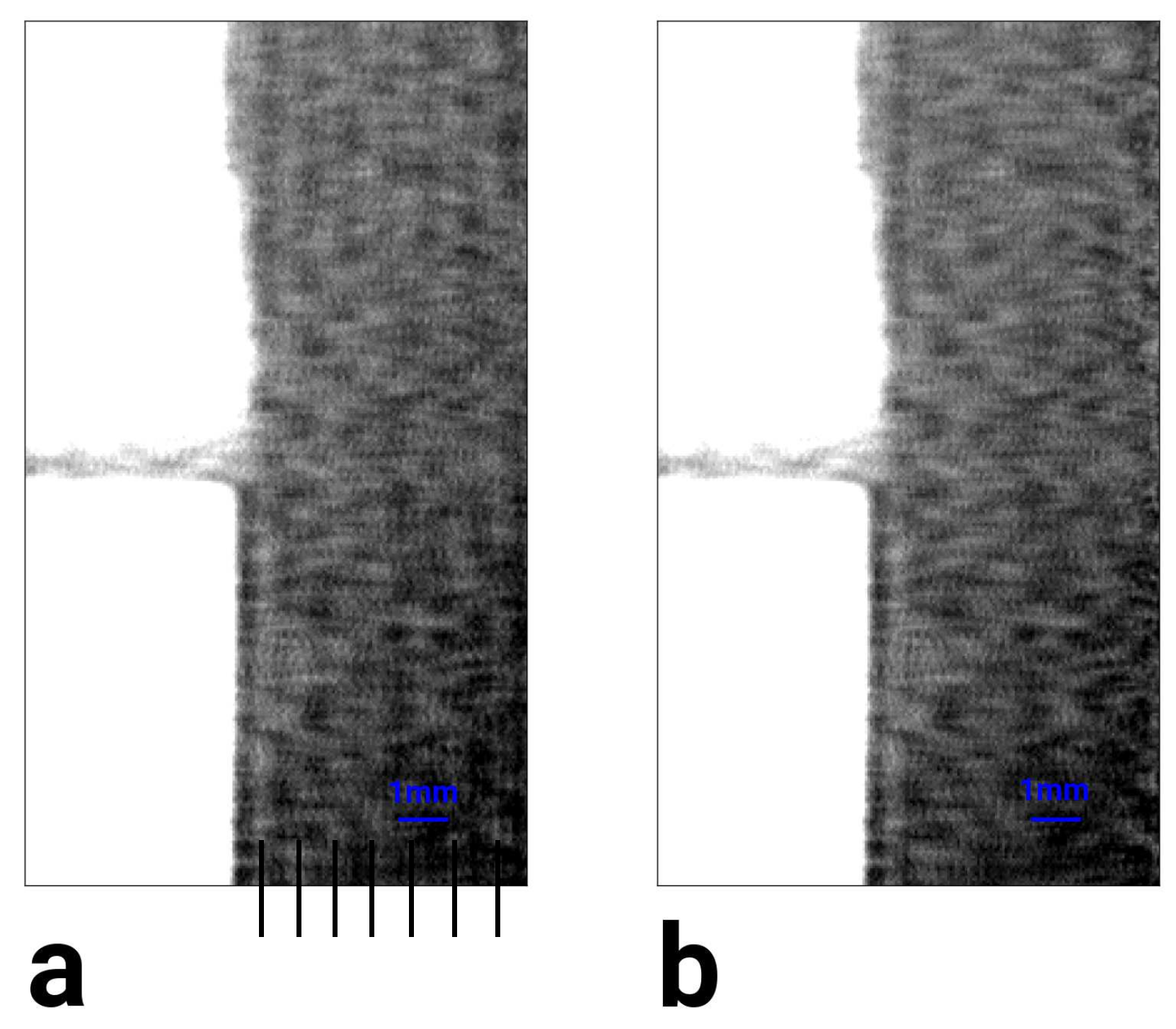 Jimaging 04 00062 g006 Jimaging 04 00062 g006