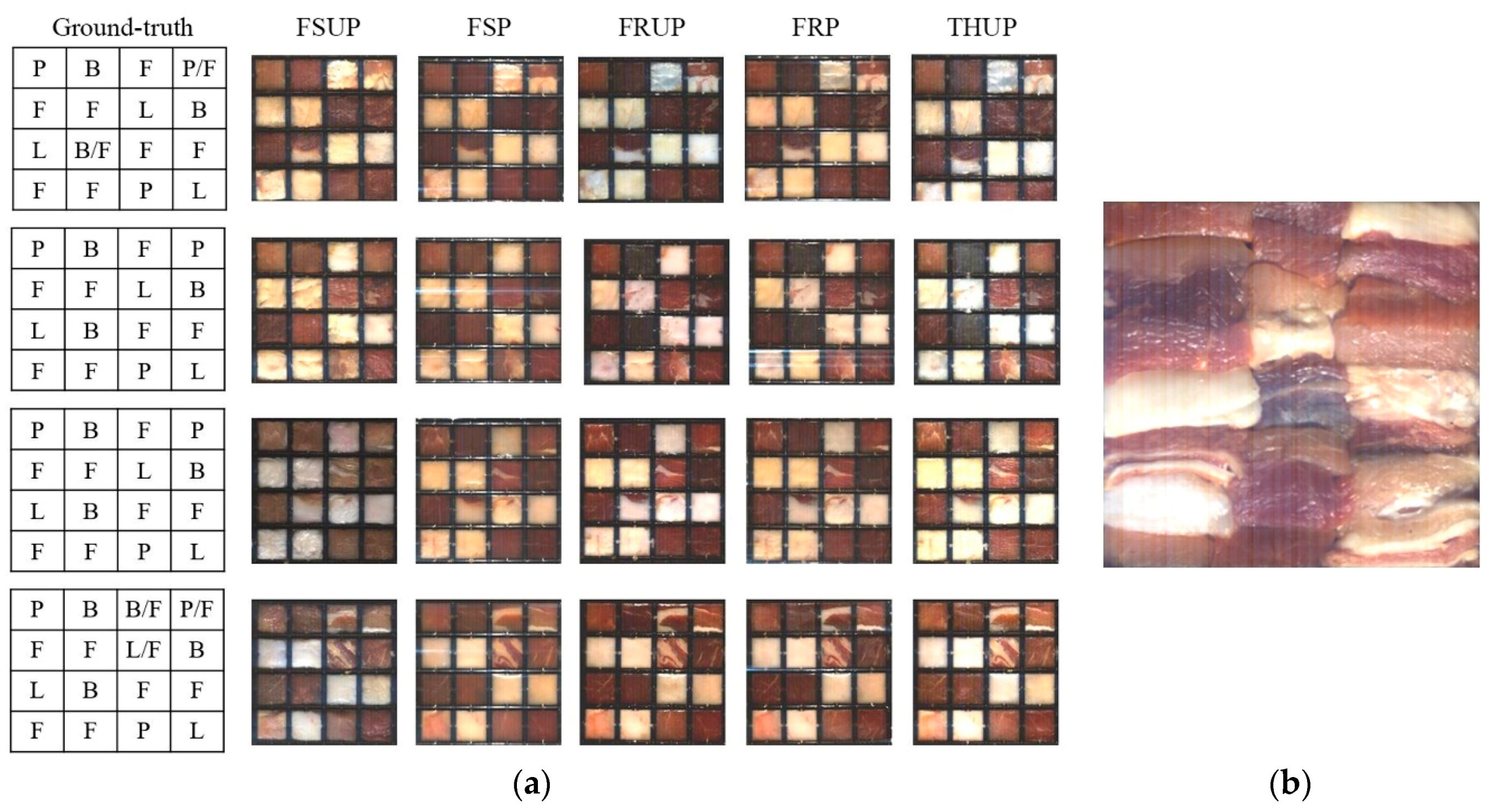 Jimaging 04 00063 g003 550