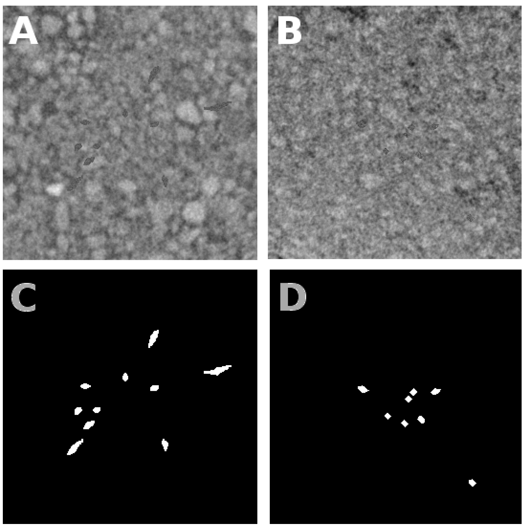 Jimaging 04 00065 g002 Jimaging 04 00065 g002