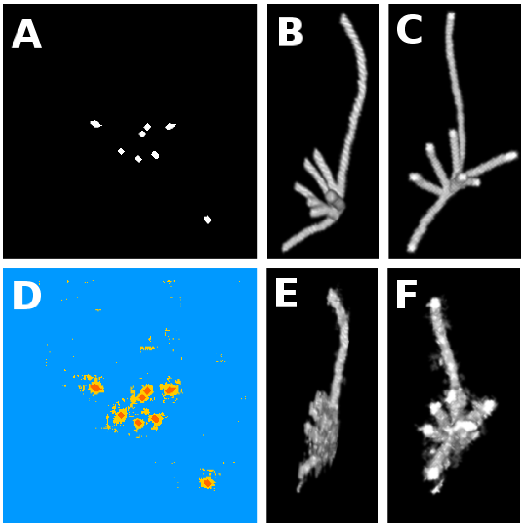 Jimaging 04 00065 g003 Jimaging 04 00065 g003