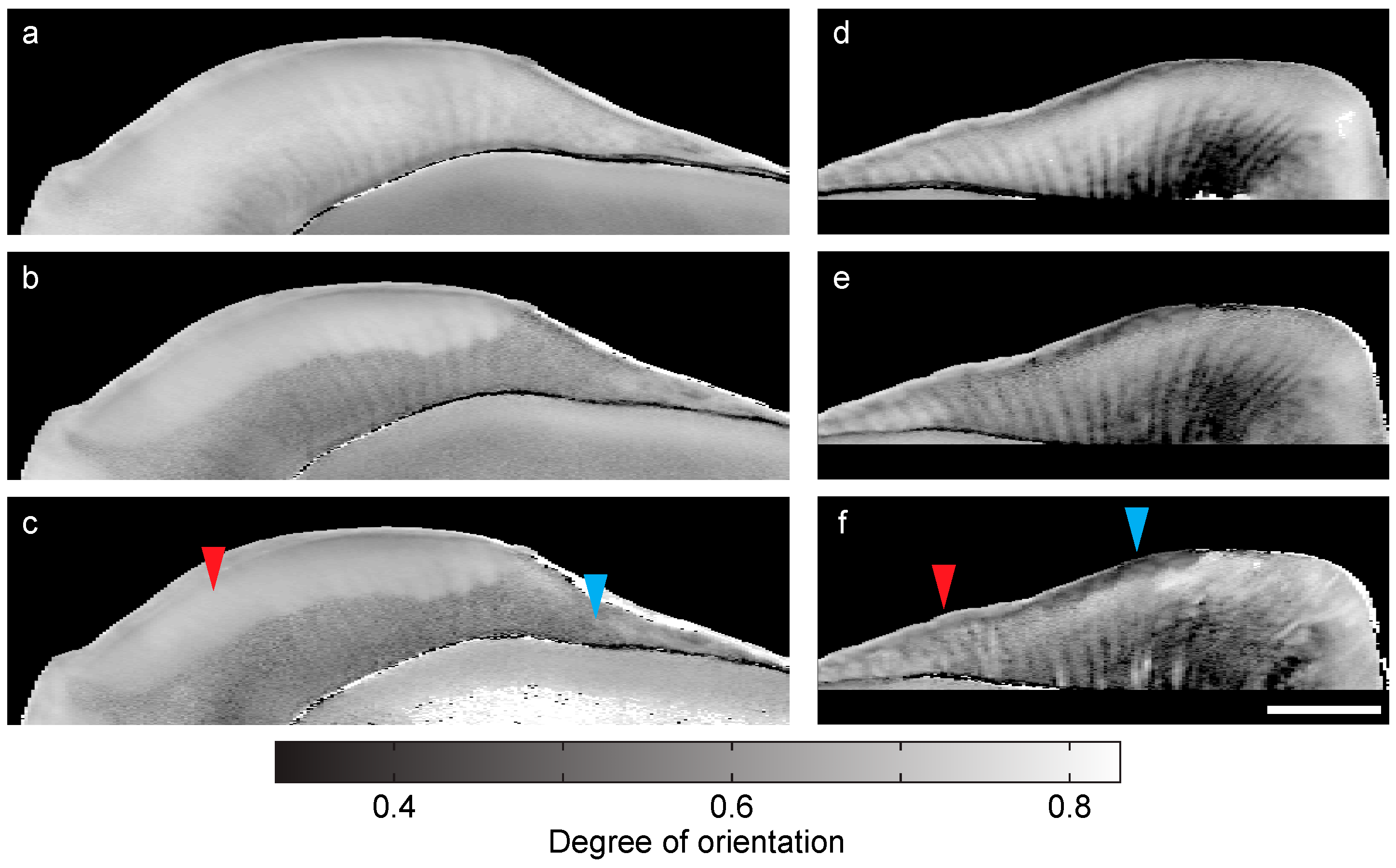 Jimaging 04 00081 g005 Jimaging 04 00081 g005