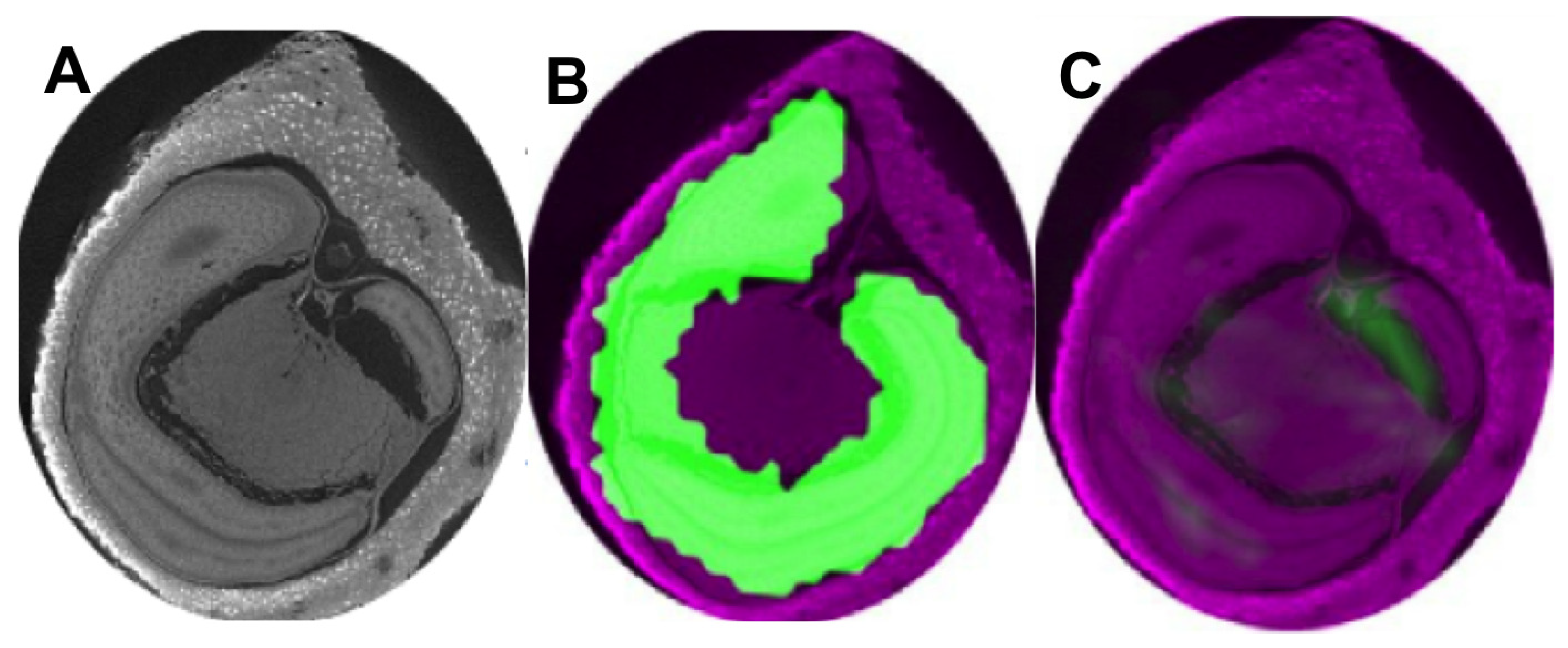 Jimaging 04 00083 g005 Jimaging 04 00083 g005