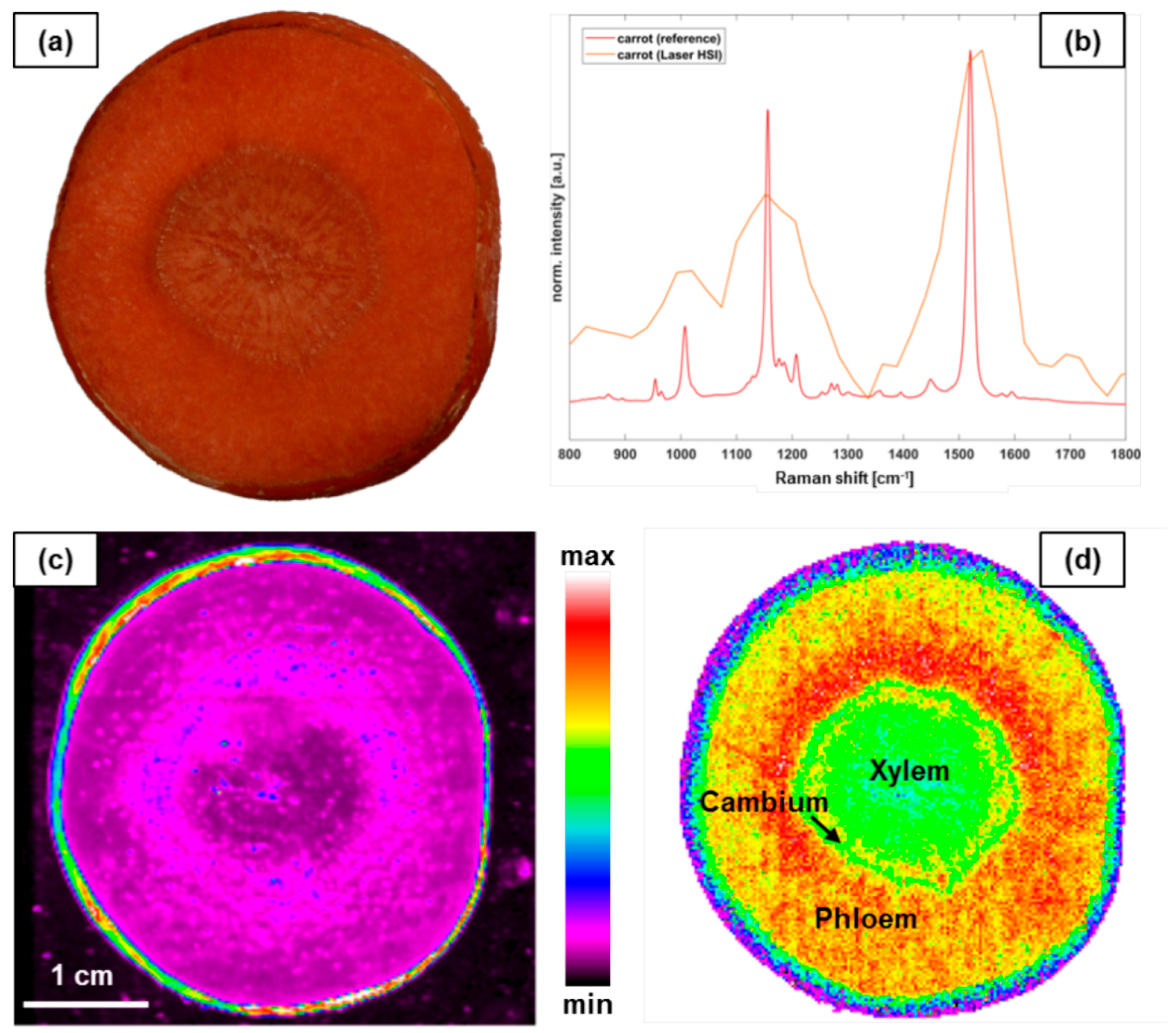 Jimaging 04 00110 g003 Jimaging 04 00110 g003