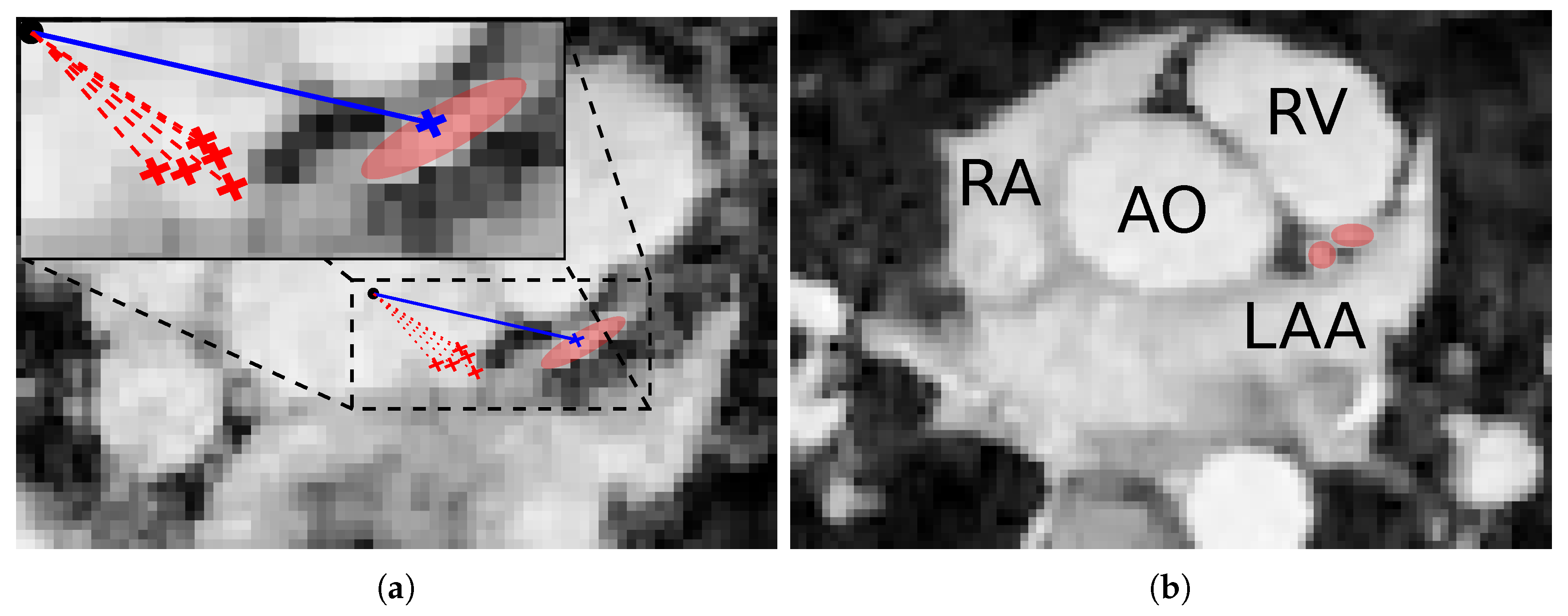 Jimaging 04 00124 g007 Jimaging 04 00124 g007