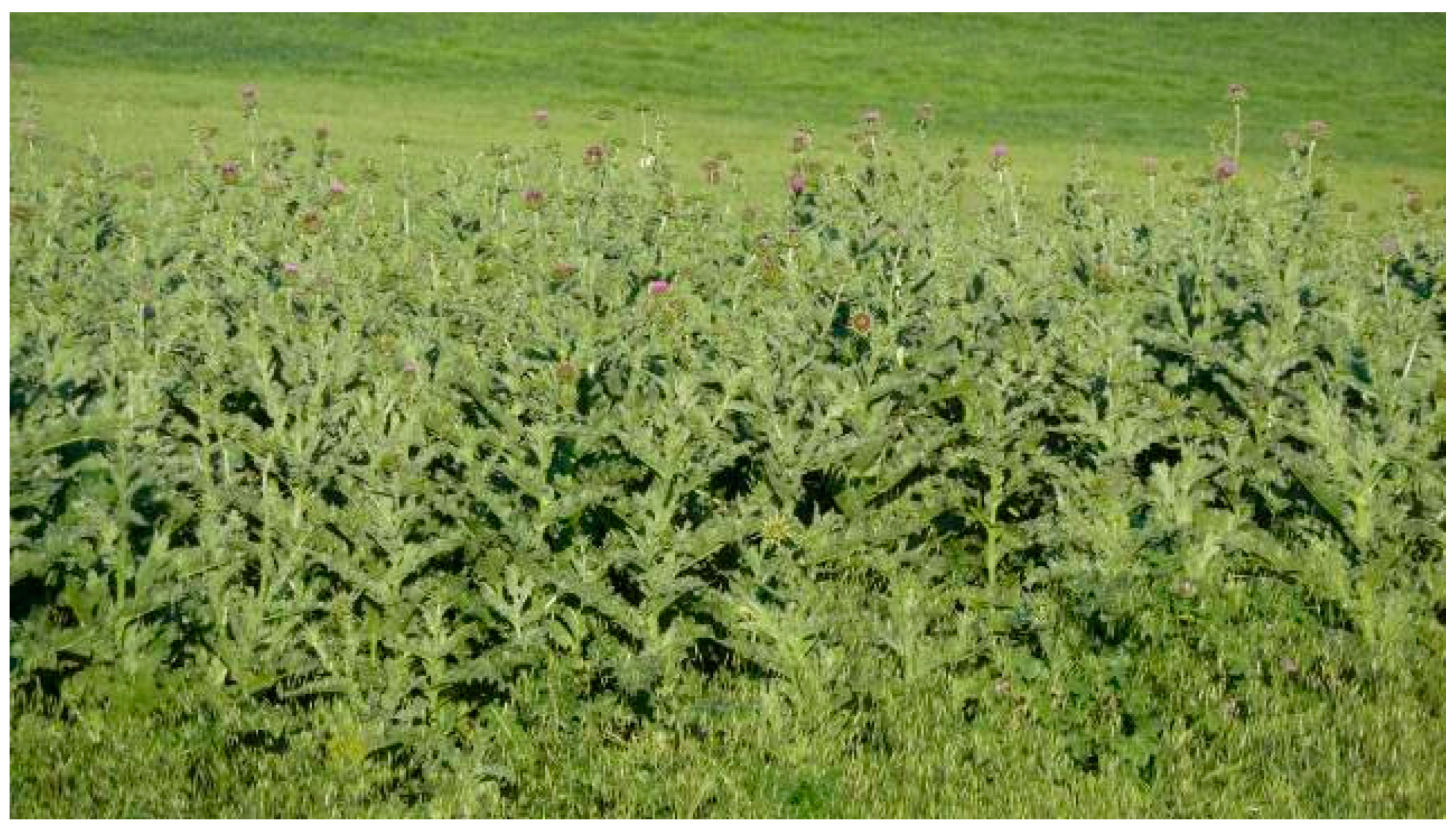 Jimaging 04 00132 g002 Jimaging 04 00132 g002