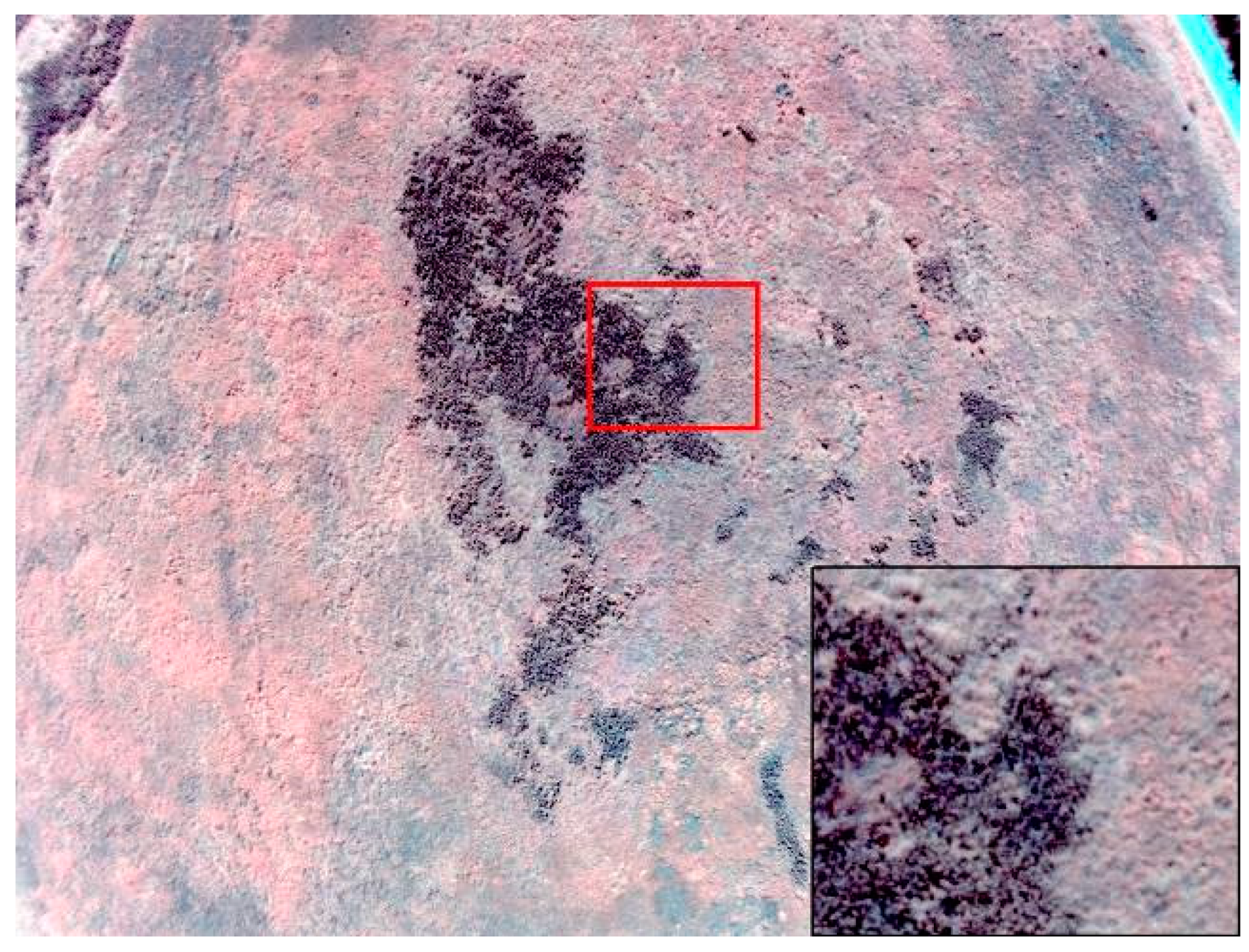 Jimaging 04 00132 g003 Jimaging 04 00132 g003