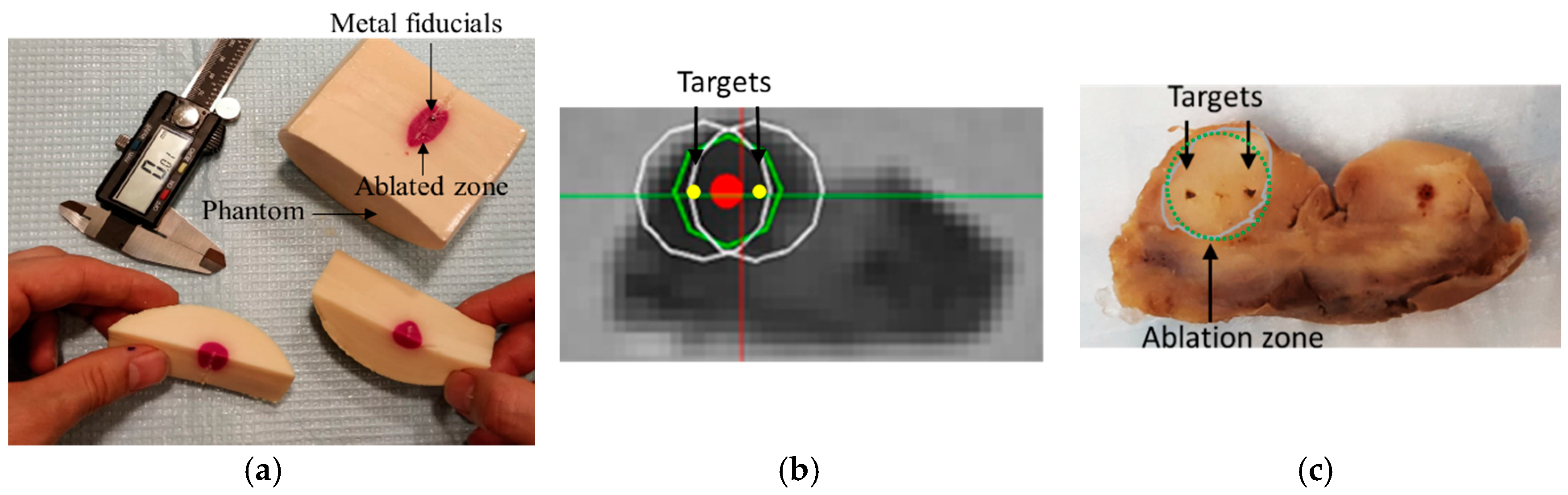 Jimaging 04 00140 g011