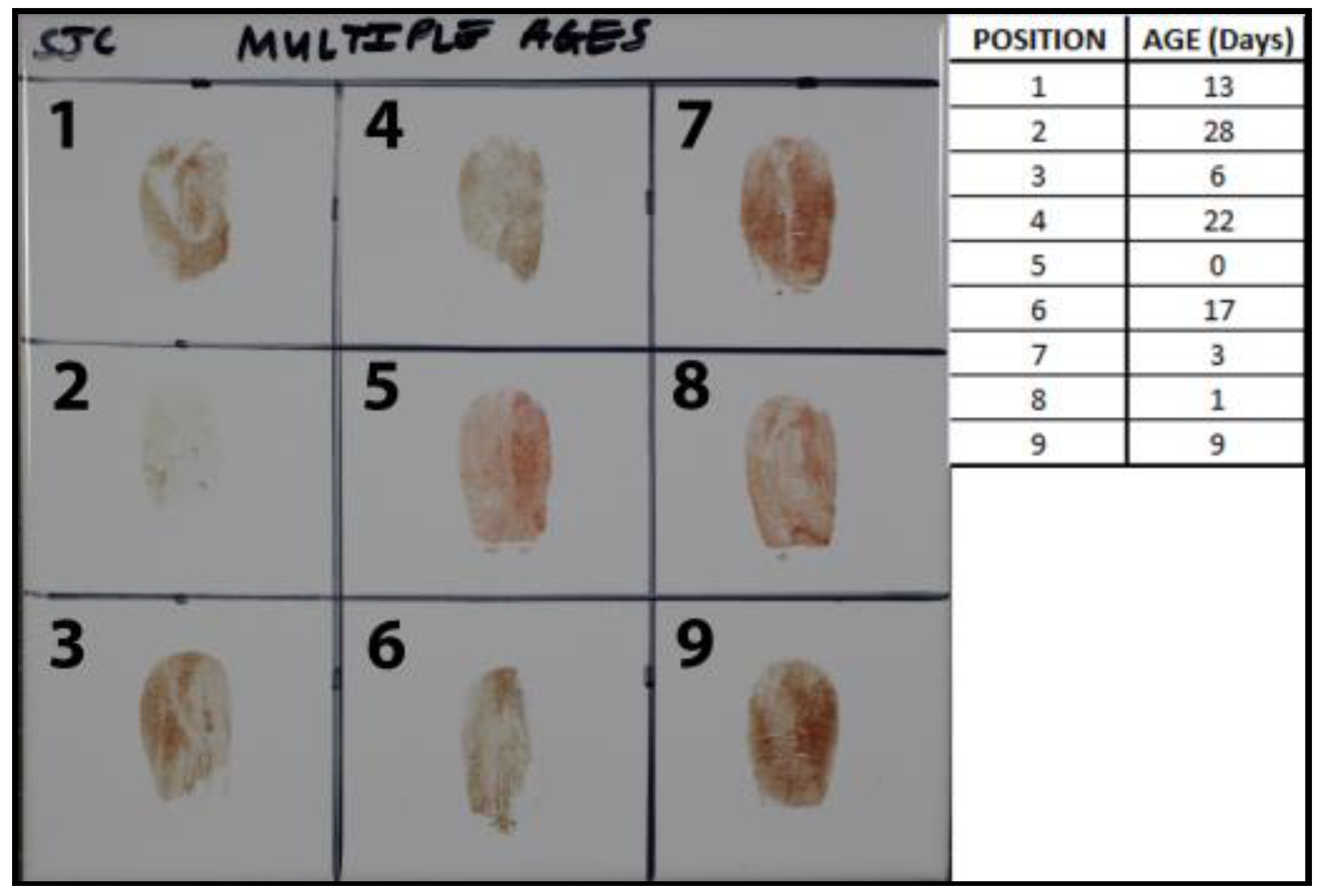 Jimaging 04 00141 g004