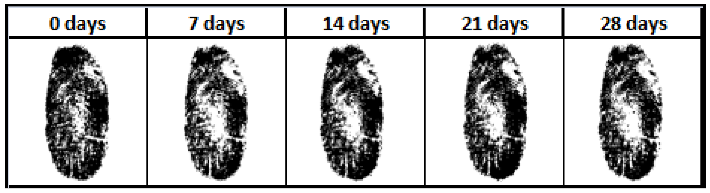 Jimaging 04 00141 g005