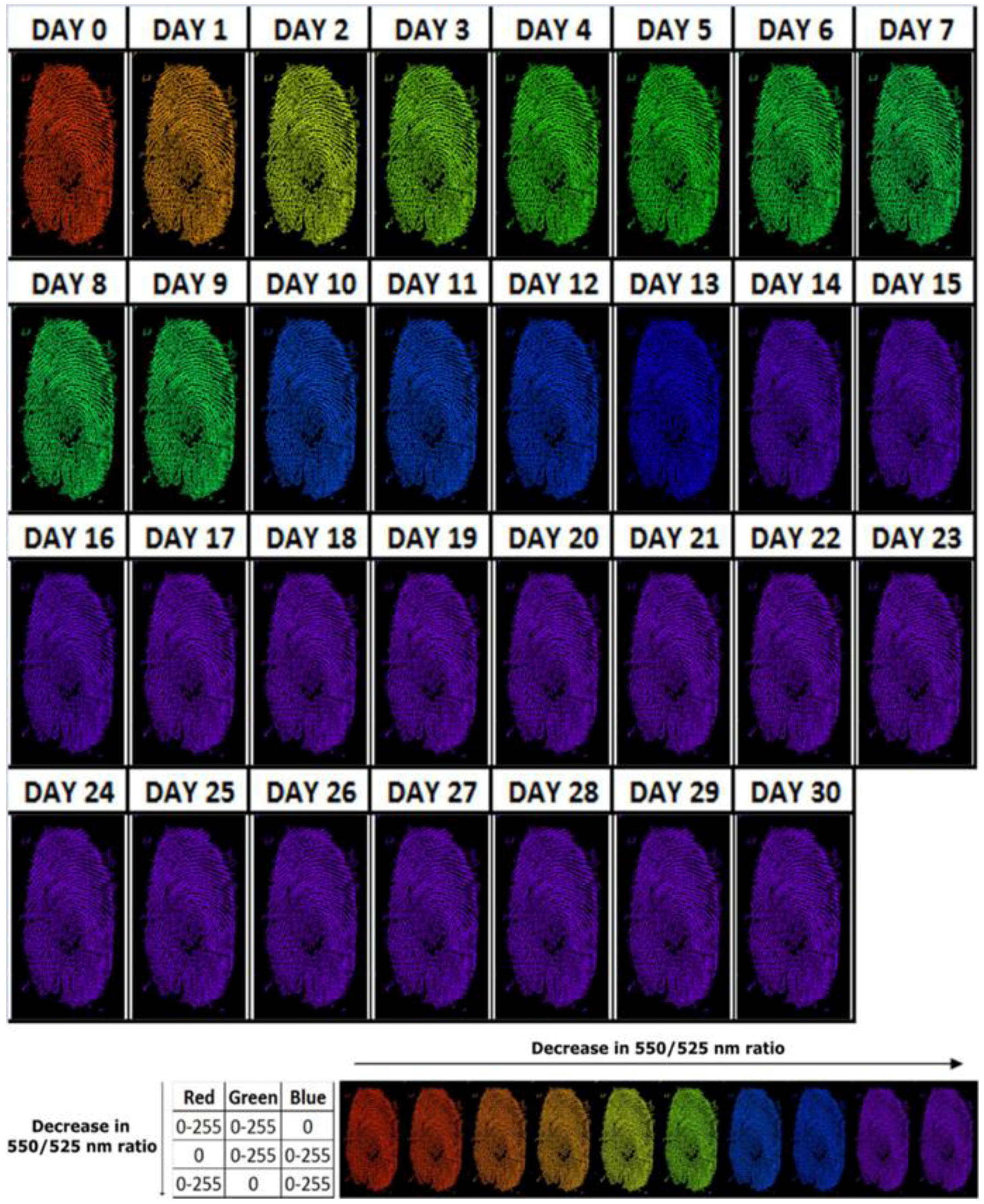 Jimaging 04 00141 g006