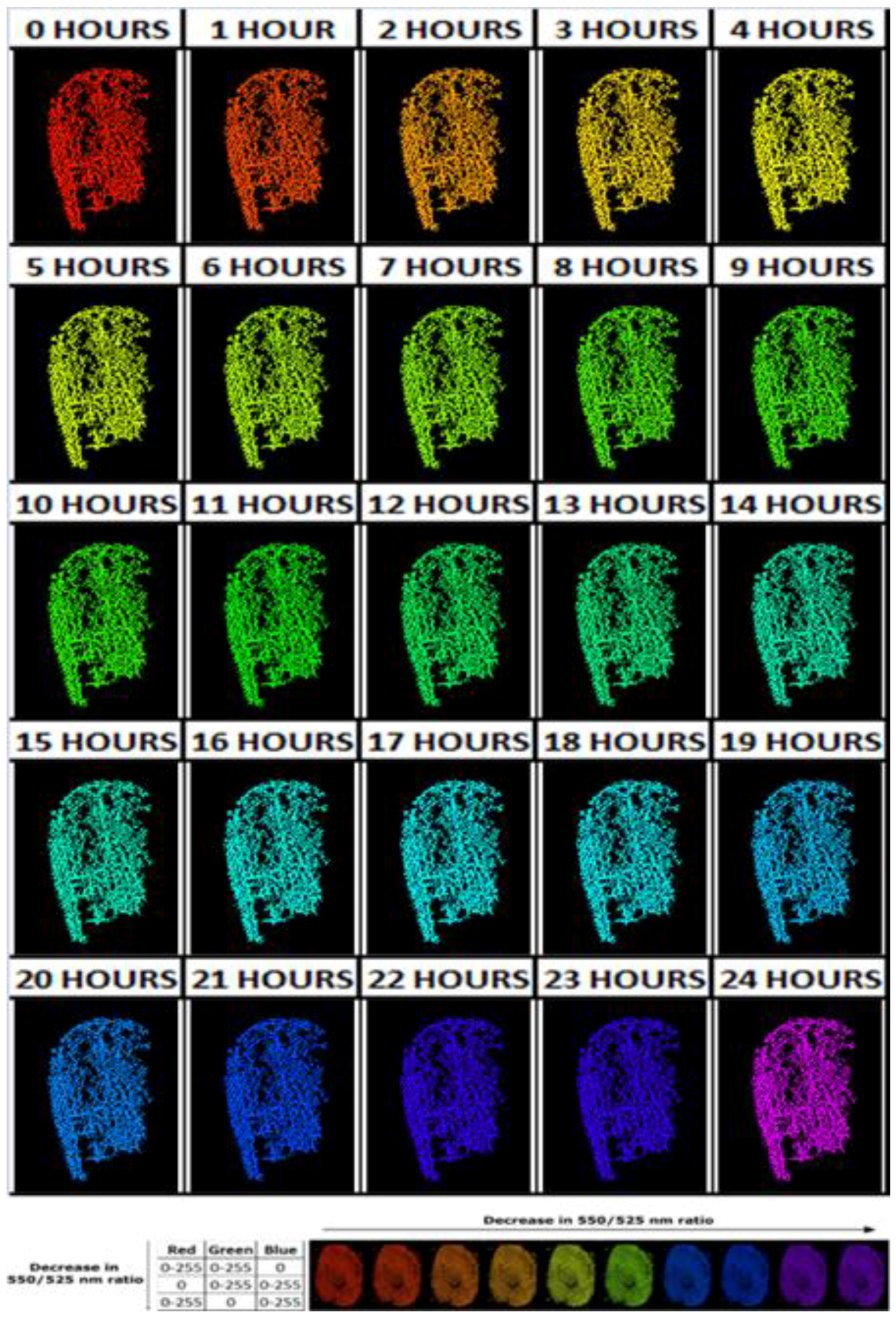 Jimaging 04 00141 g007