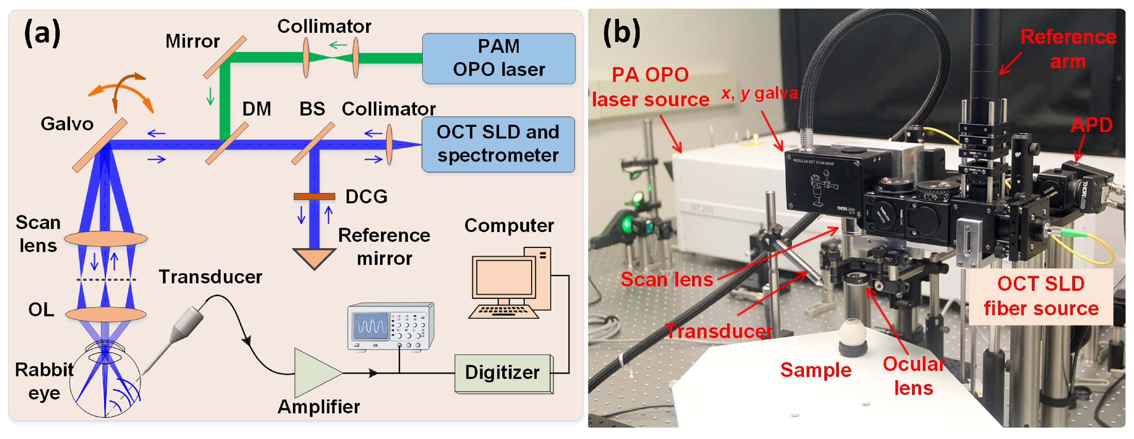 Jimaging 04 00149 g004 Jimaging 04 00149 g004