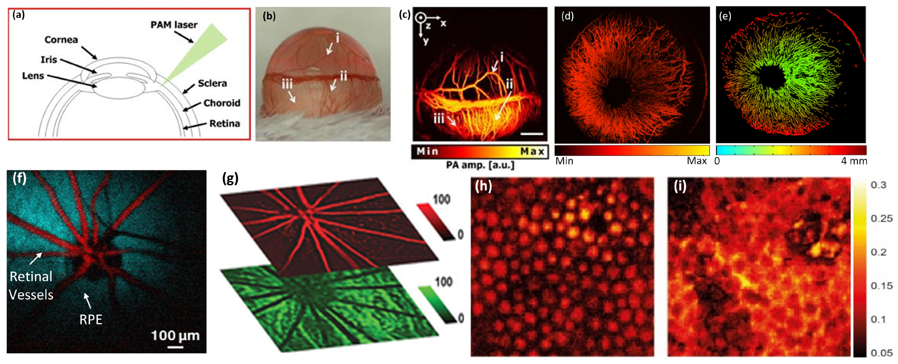Jimaging 04 00149 g006 Jimaging 04 00149 g006