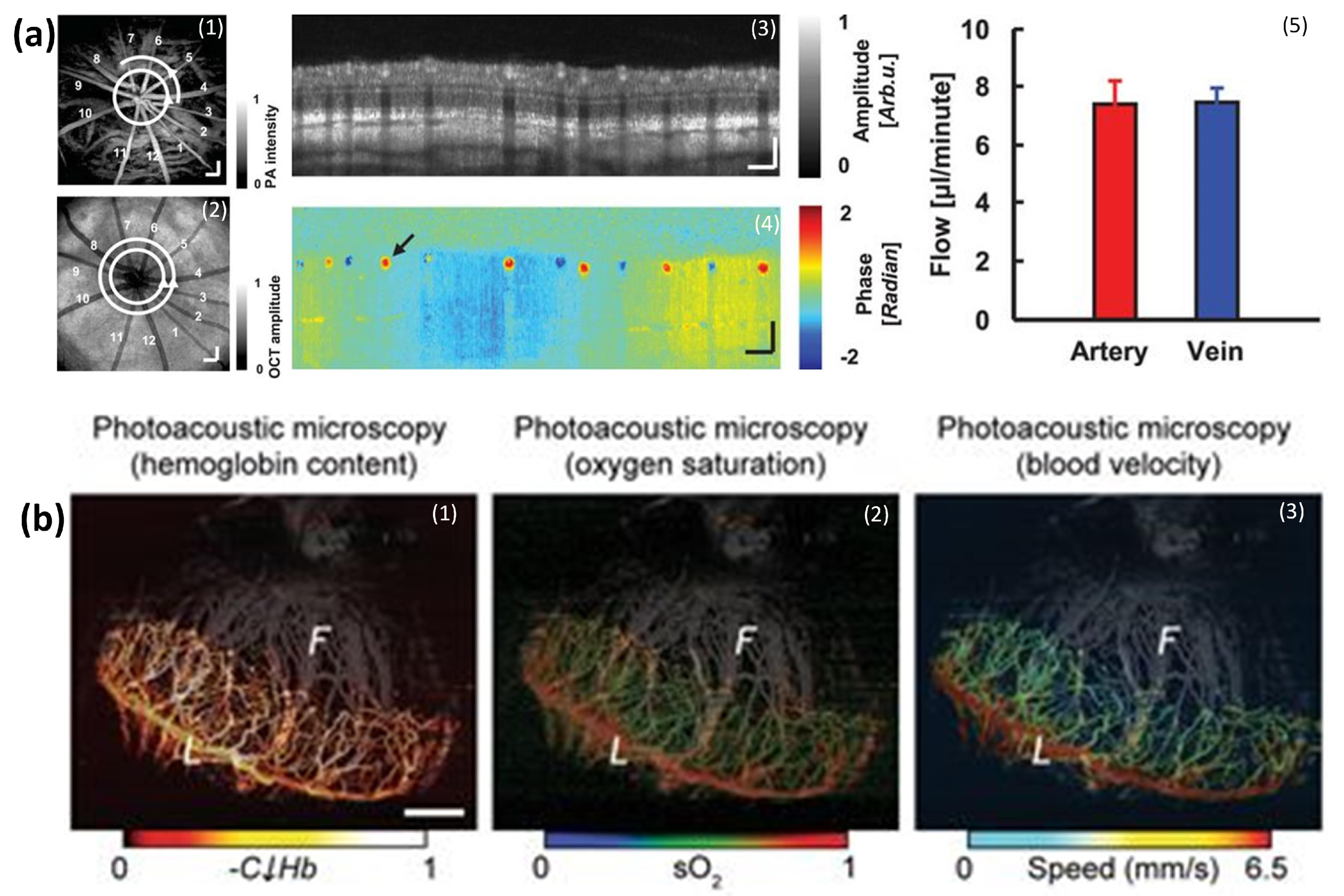 Jimaging 04 00149 g011 Jimaging 04 00149 g011