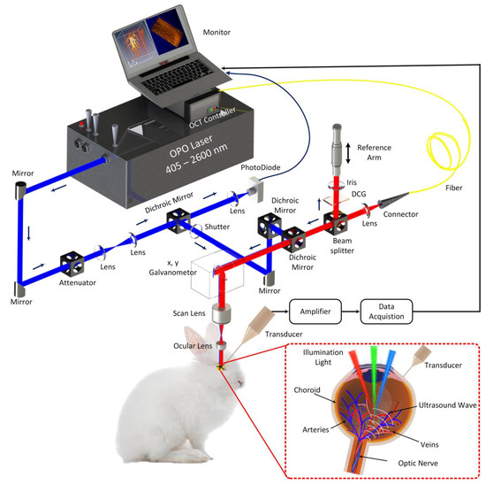 J. Imaging Free FullText In Vivo 3D Imaging of Retinal