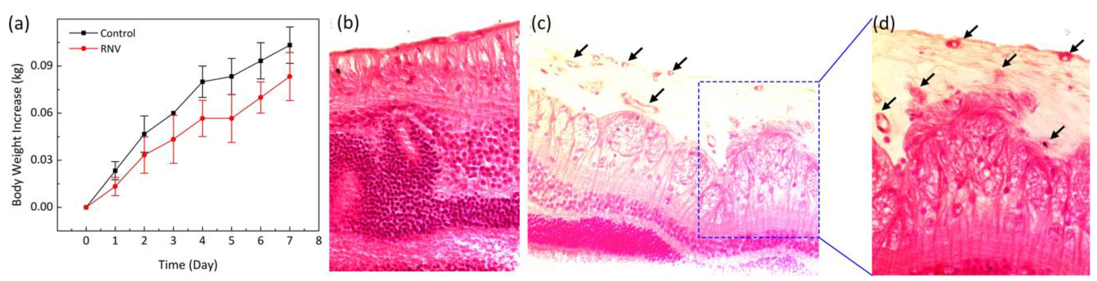 Jimaging 04 00150 g007