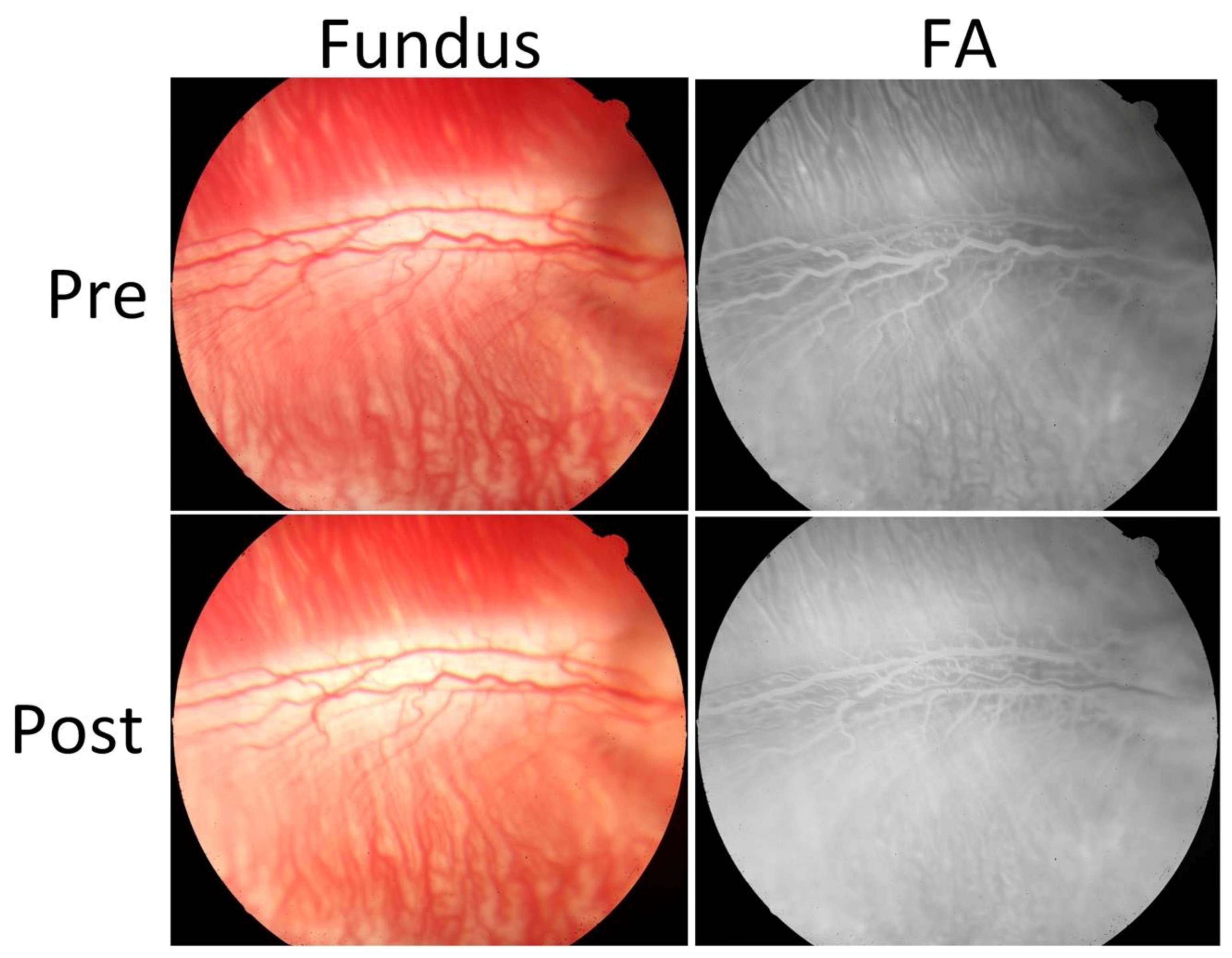 Jimaging 04 00150 g0a1