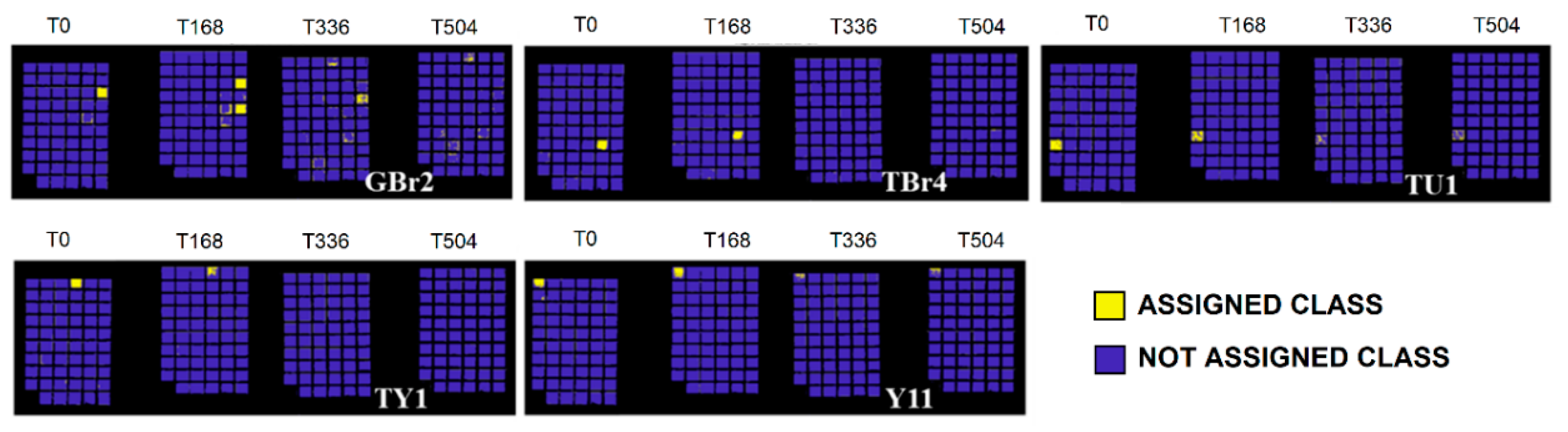 Jimaging 05 00008 g010 Jimaging 05 00008 g010