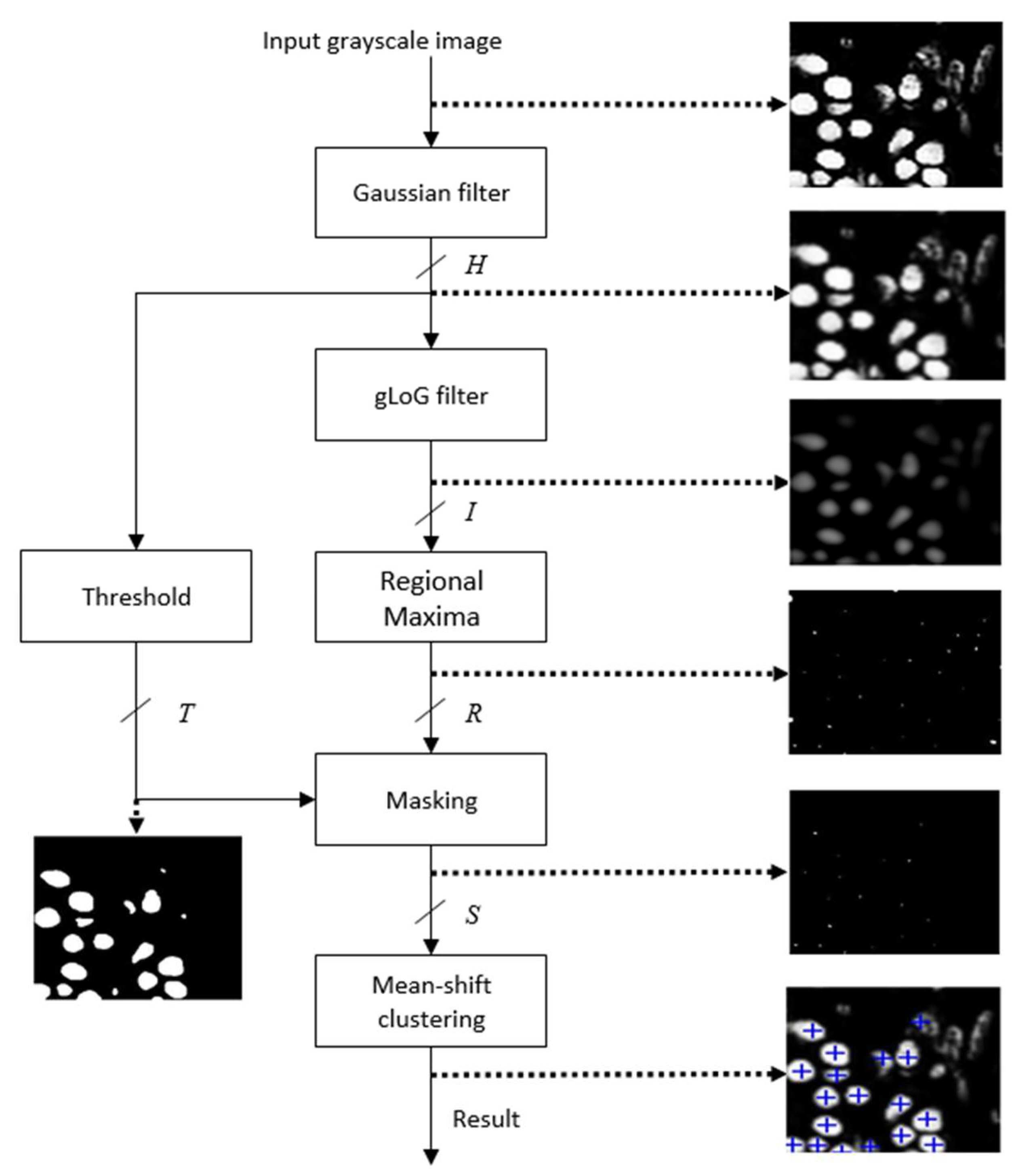 Jimaging 05 00021 g002 550
