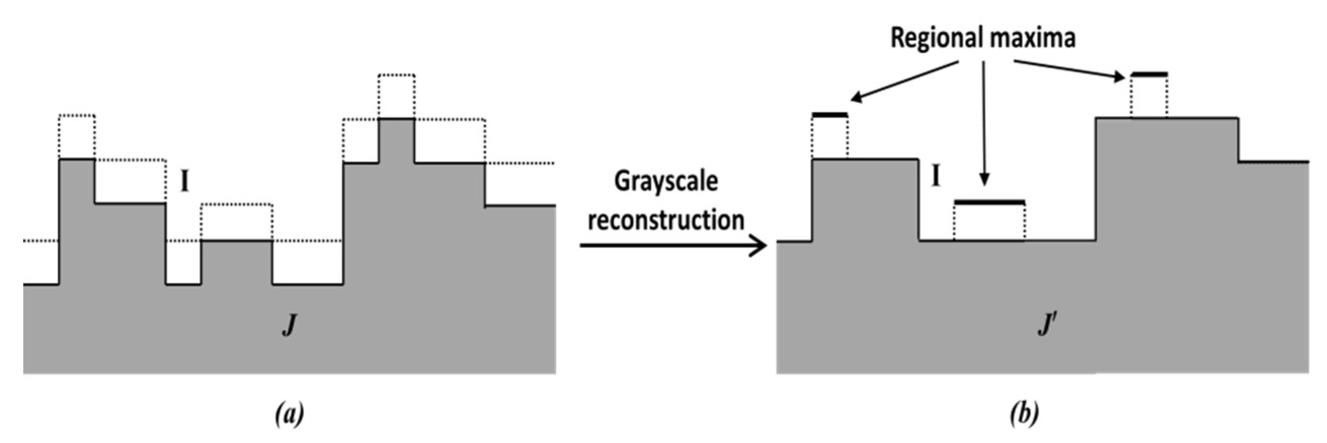 Jimaging 05 00021 g006 550