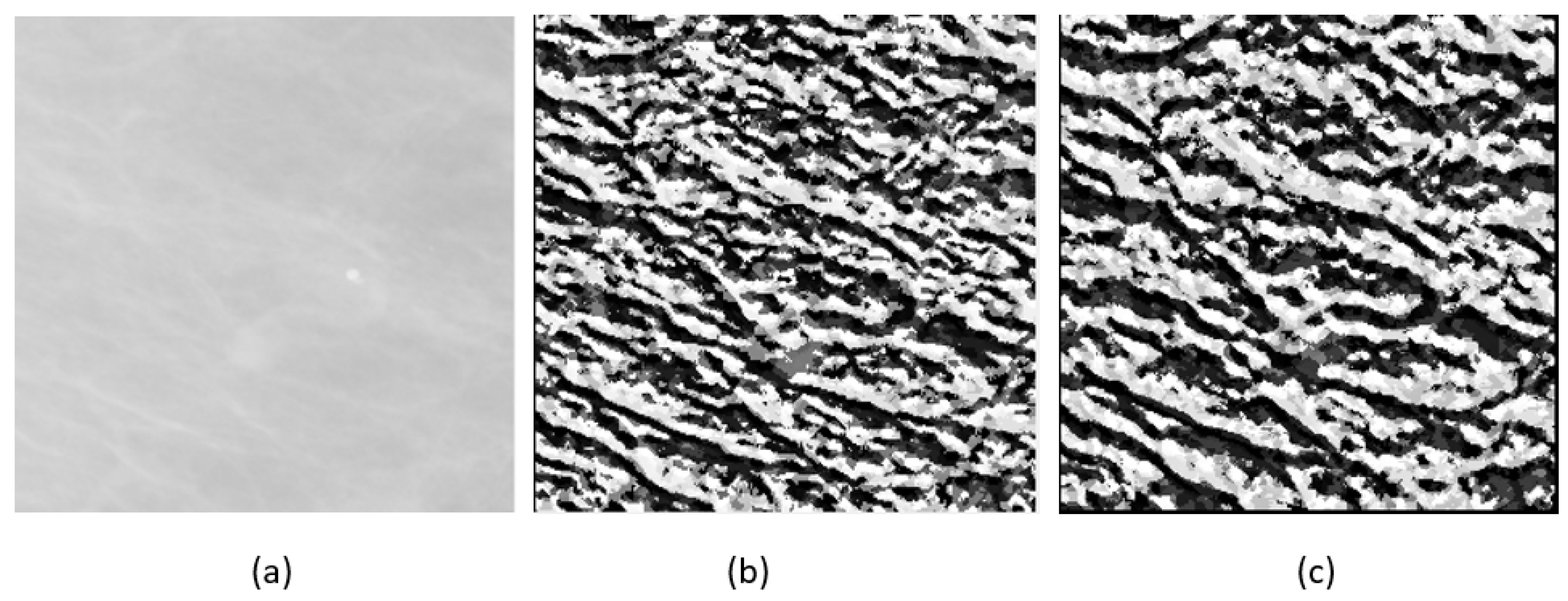 Jimaging 05 00024 g004 Jimaging 05 00024 g004