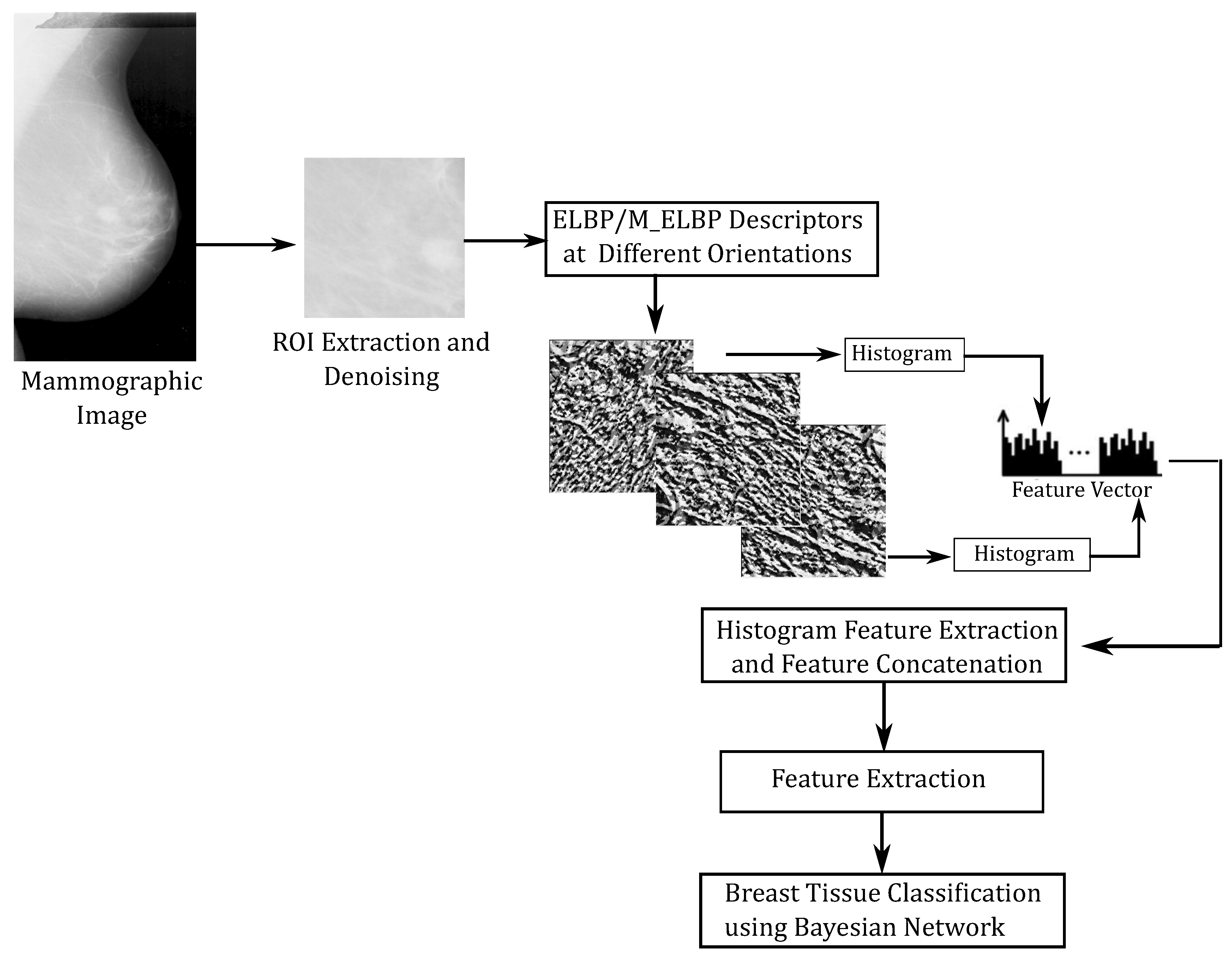 Jimaging 05 00024 g005 Jimaging 05 00024 g005