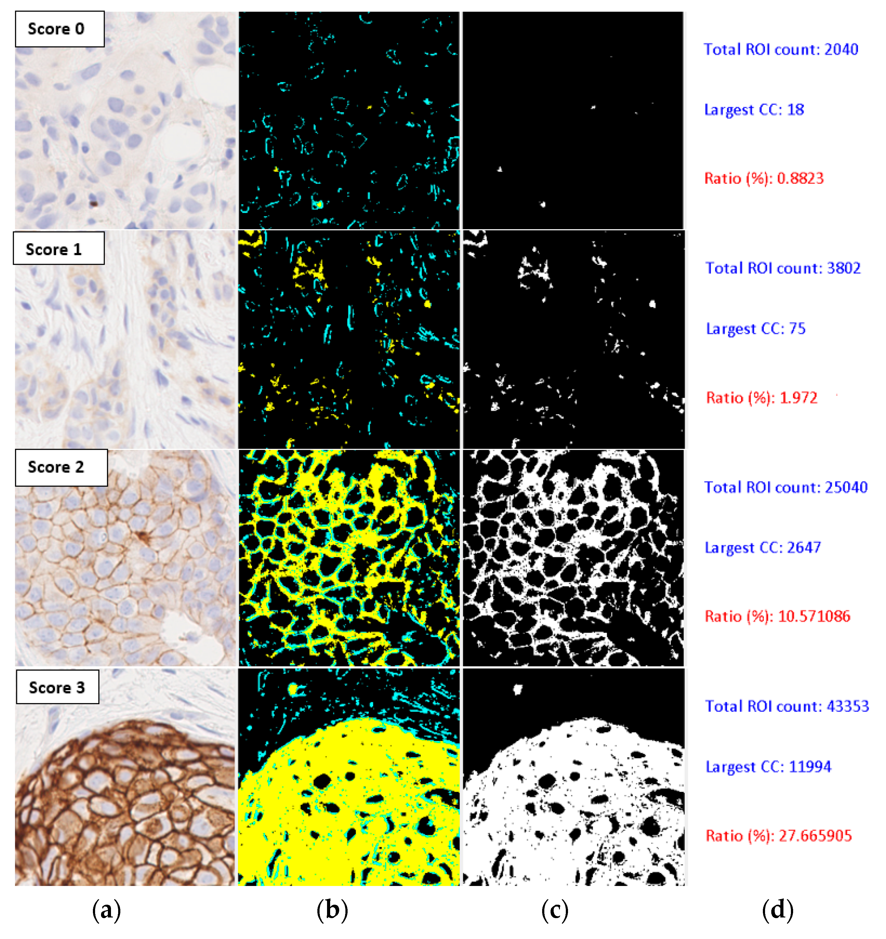 Jimaging 05 00035 g005