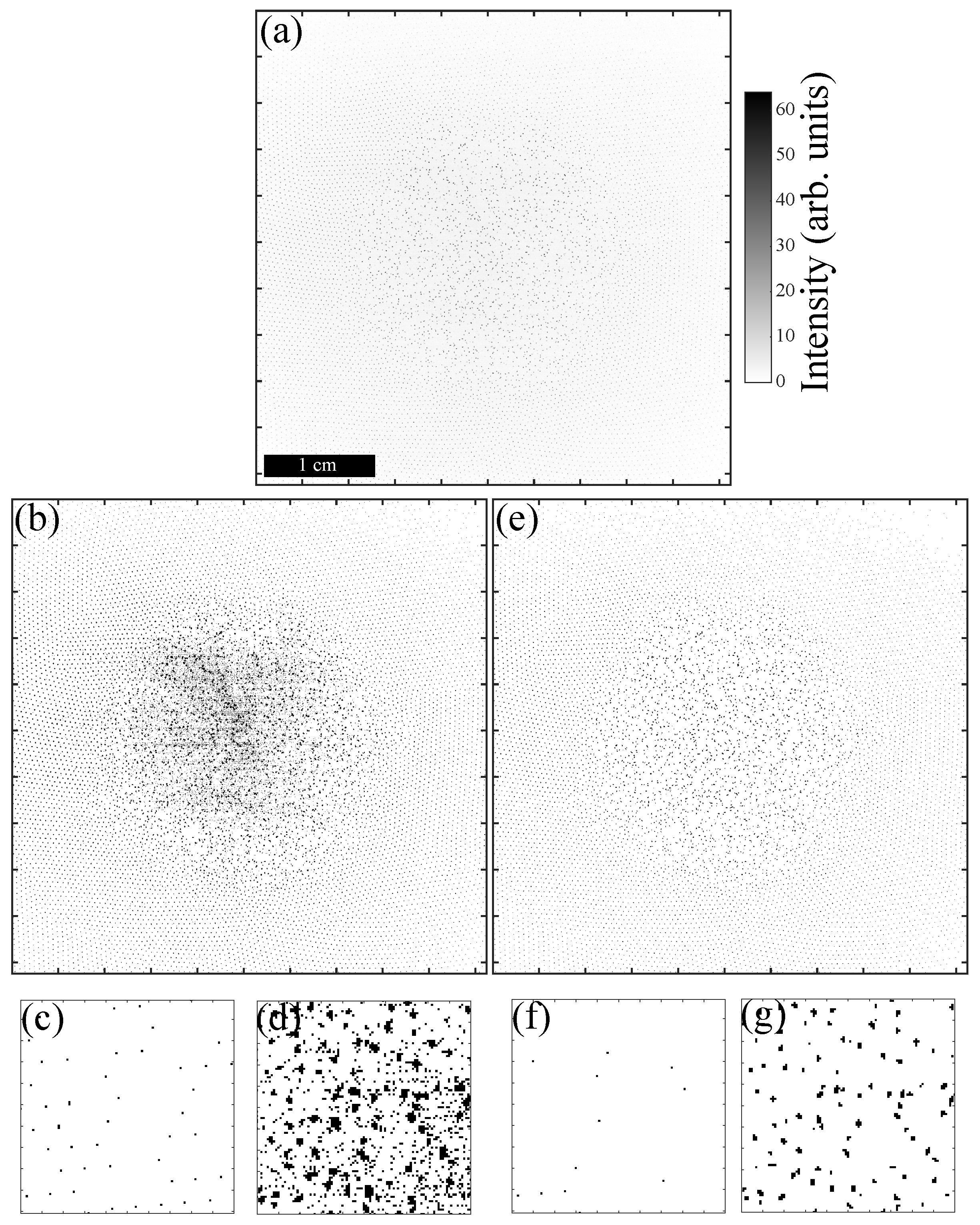 Jimaging 05 00041 g002 550
