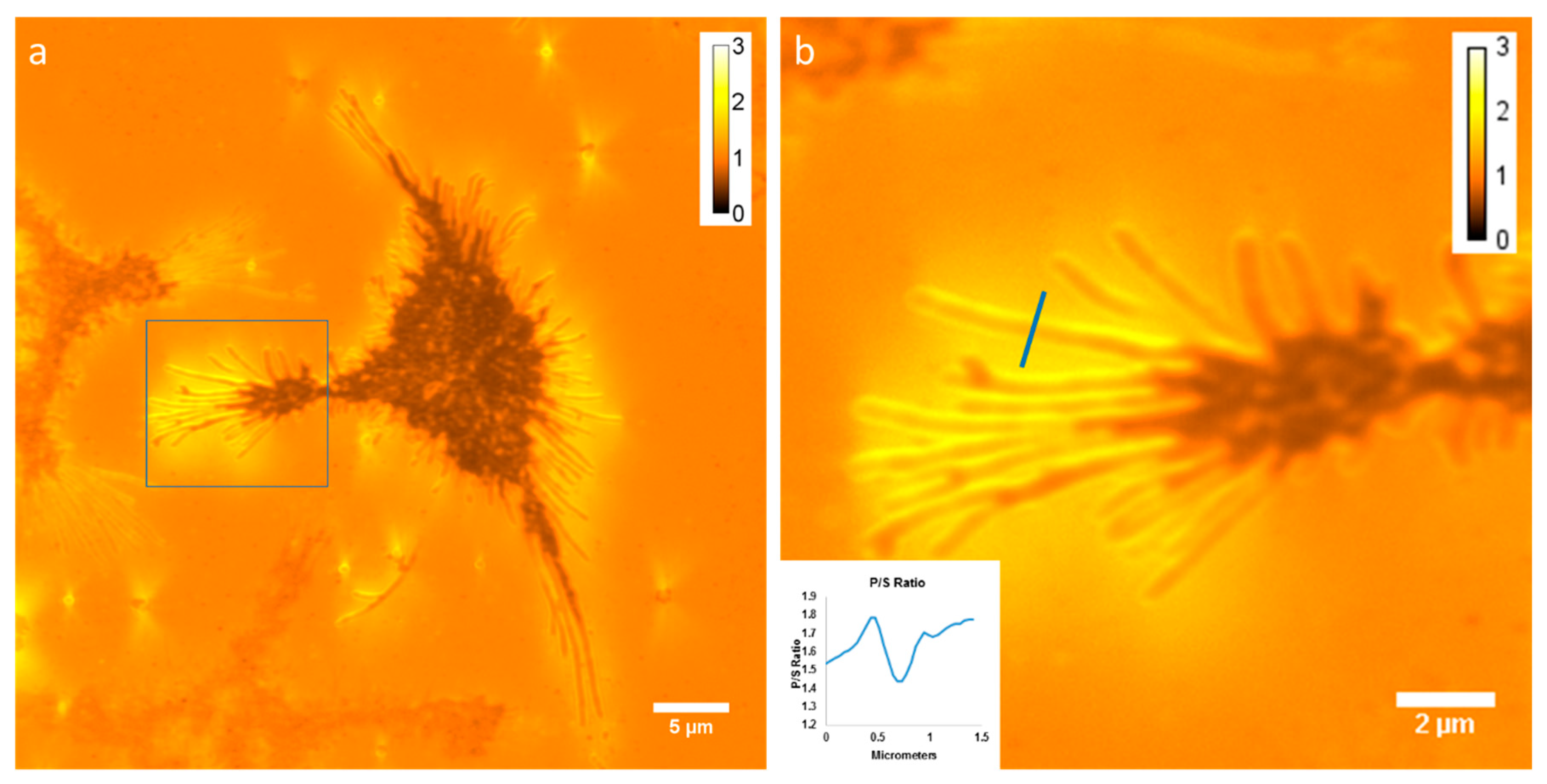 Jimaging 05 00063 g003