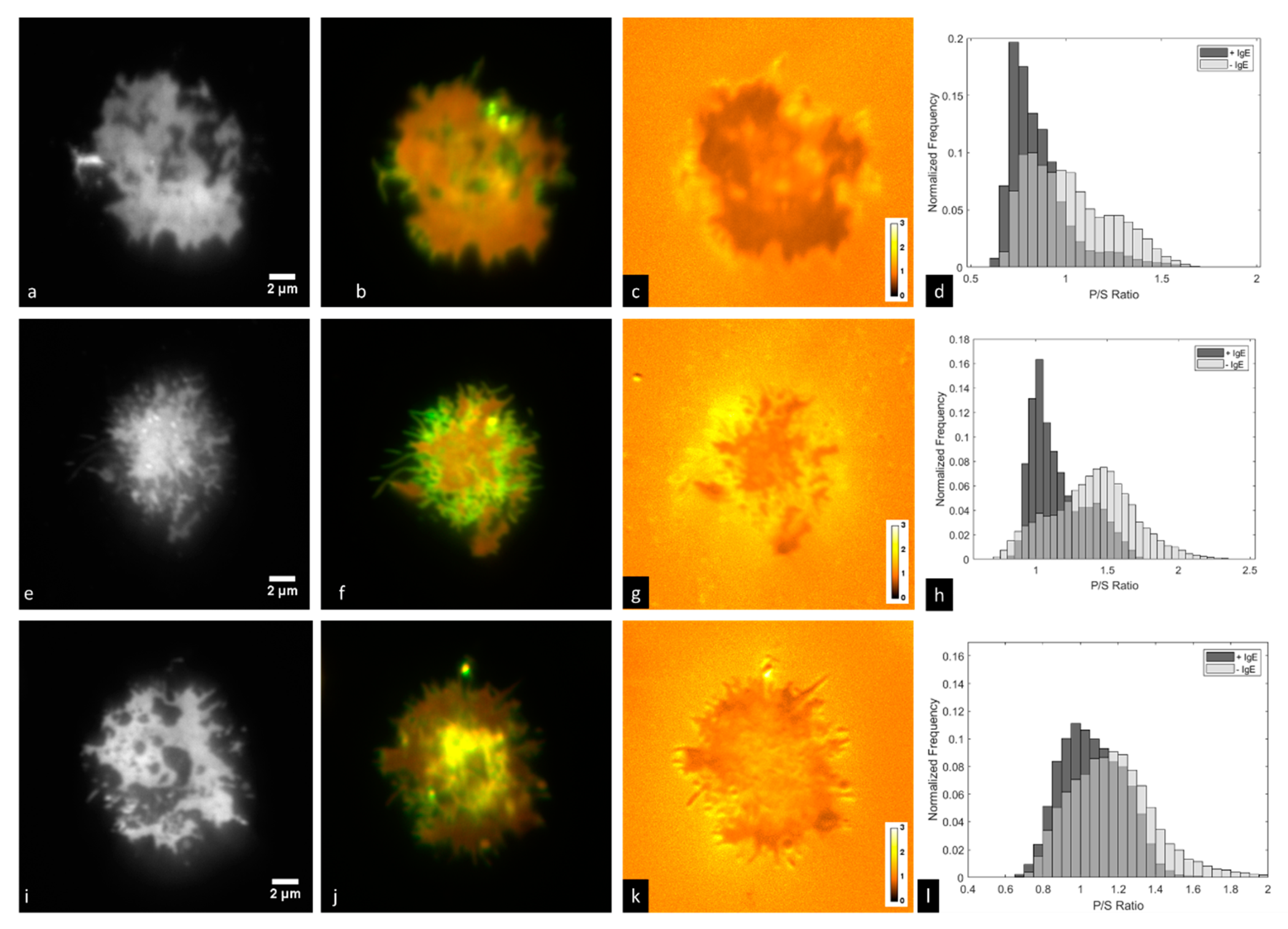 Jimaging 05 00063 g005