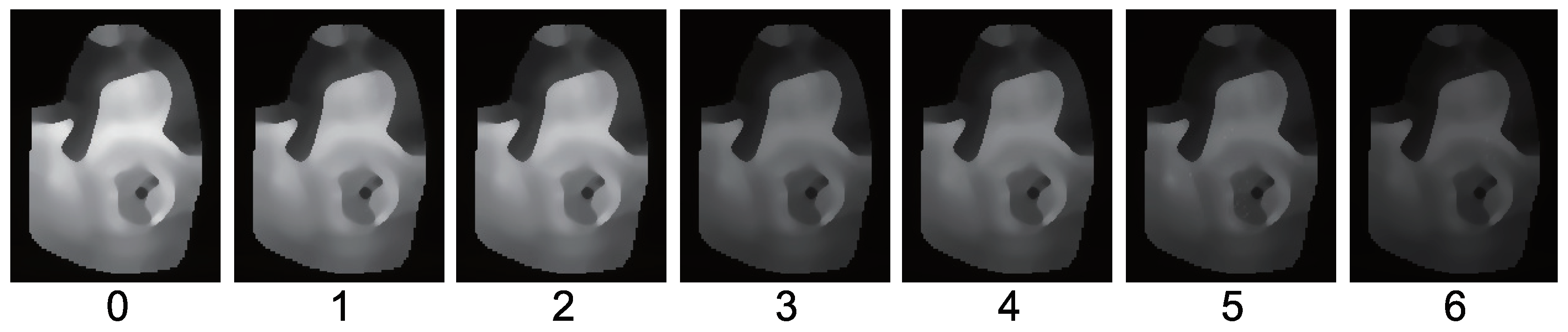 Jimaging 05 00064 g020 Jimaging 05 00064 g020