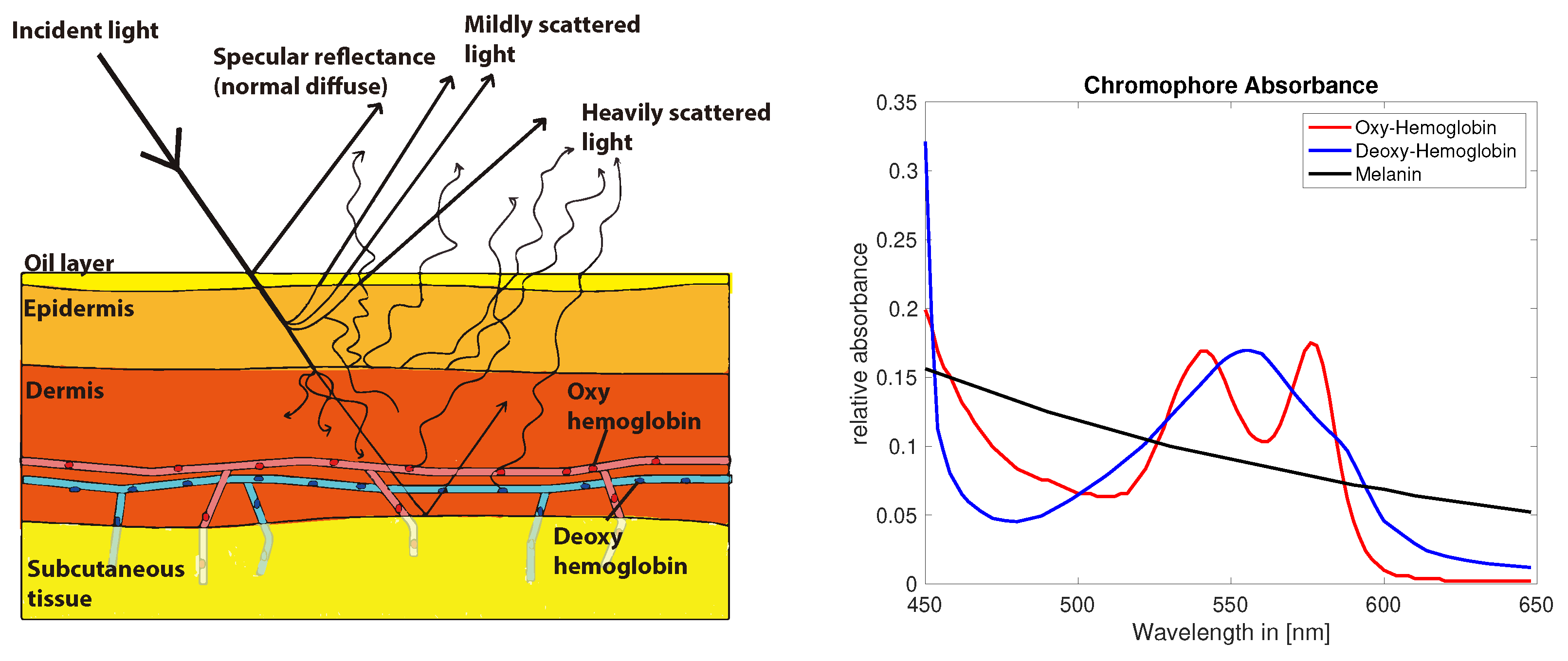 Jimaging 05 00066 g002 Jimaging 05 00066 g002