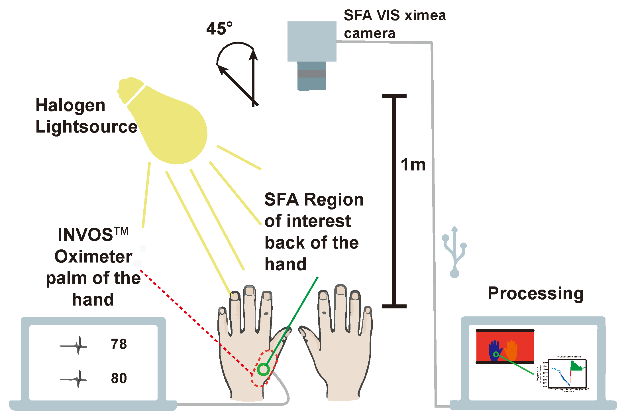 Jimaging 05 00066 g009 Jimaging 05 00066 g009