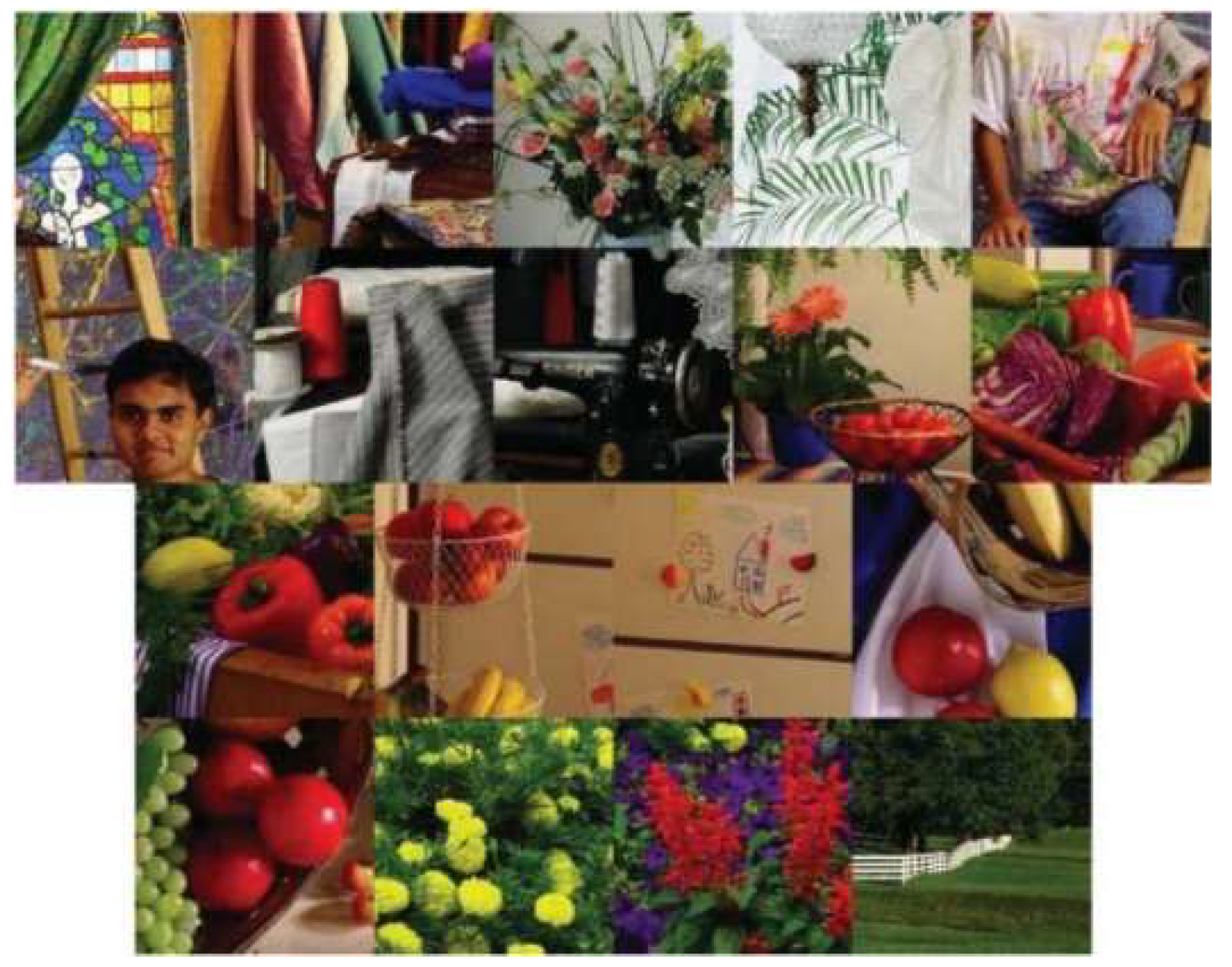 Jimaging 05 00068 g008 Jimaging 05 00068 g008