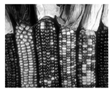 Jimaging 05 00071 i027