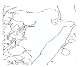 Jimaging 05 00071 i036