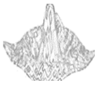 Jimaging 05 00071 i056