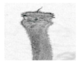 Jimaging 05 00071 i095