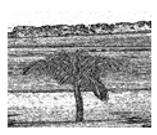 Jimaging 05 00071 i102