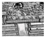 Jimaging 05 00071 i113