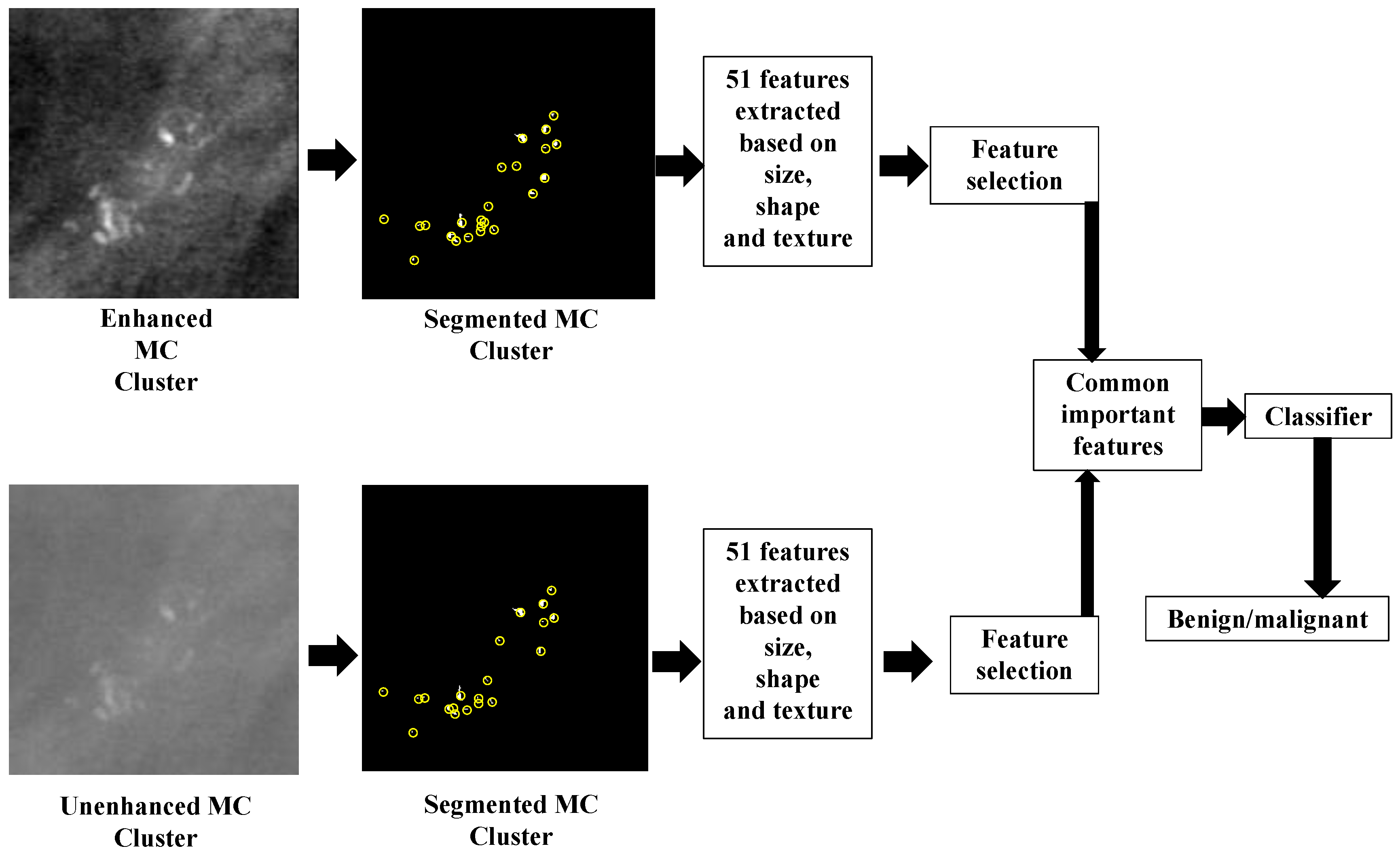 Jimaging 05 00076 g002